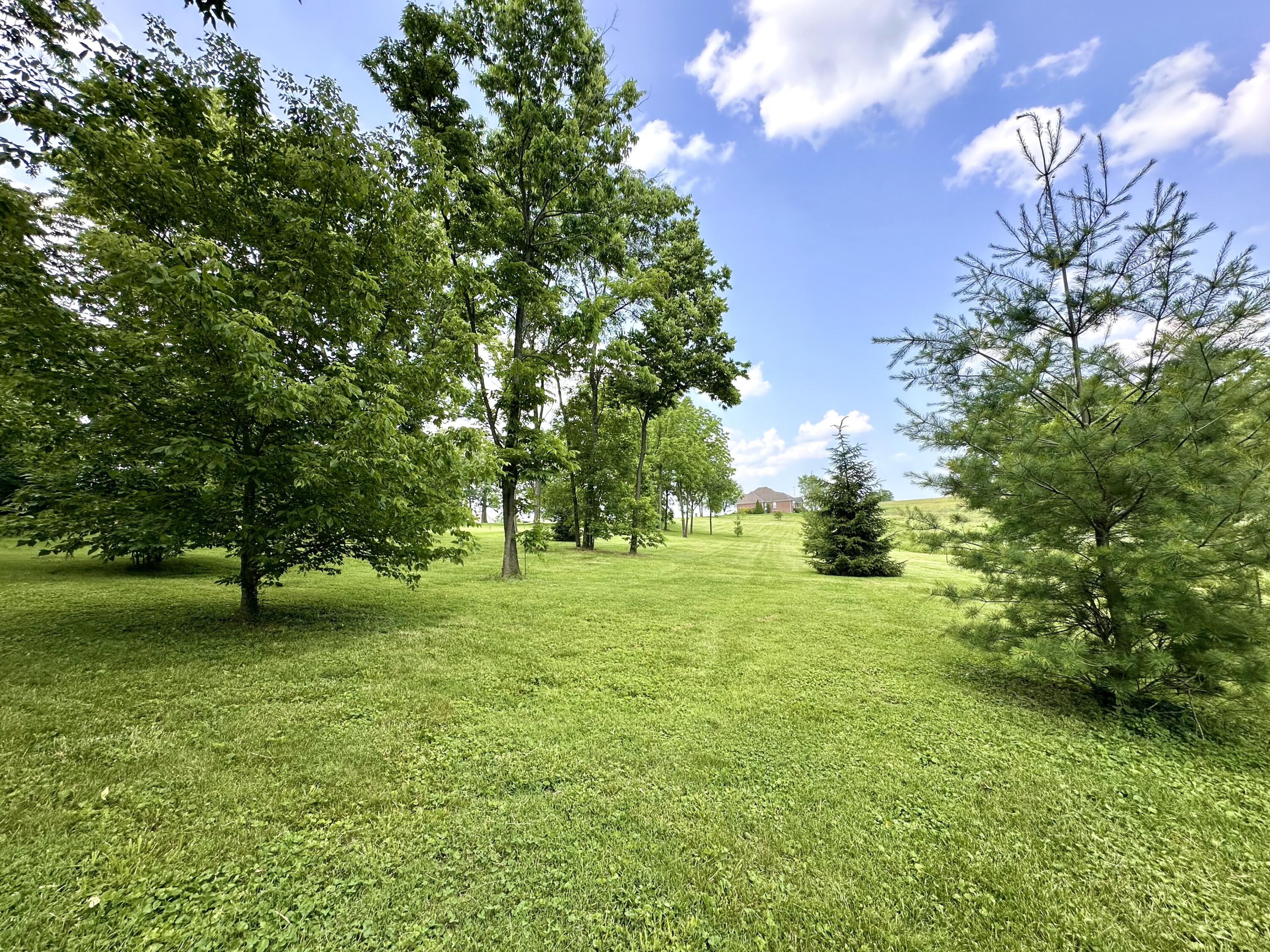 44 Magnolia Avenue Property Photo 17