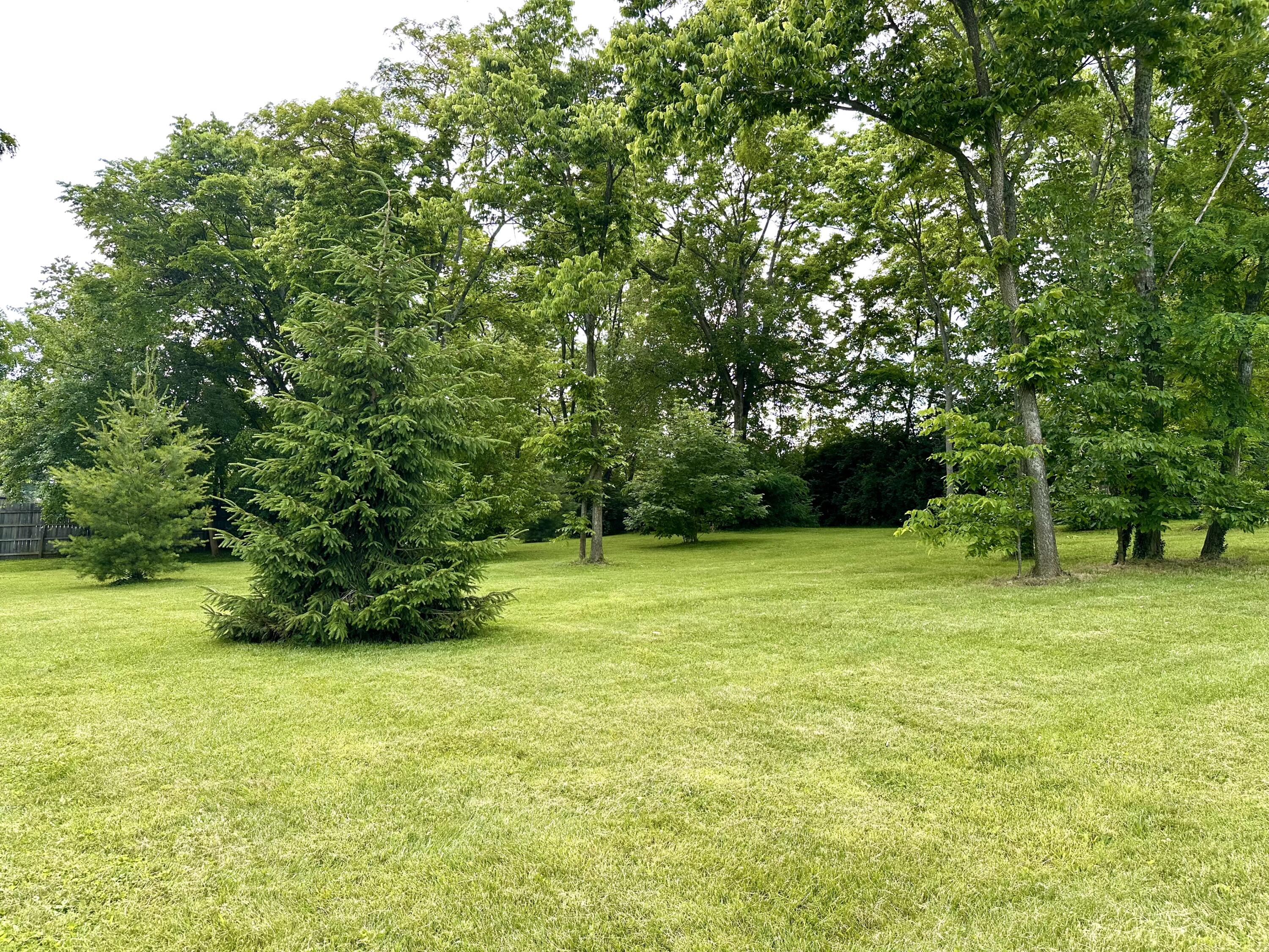 44 Magnolia Avenue Property Photo 21
