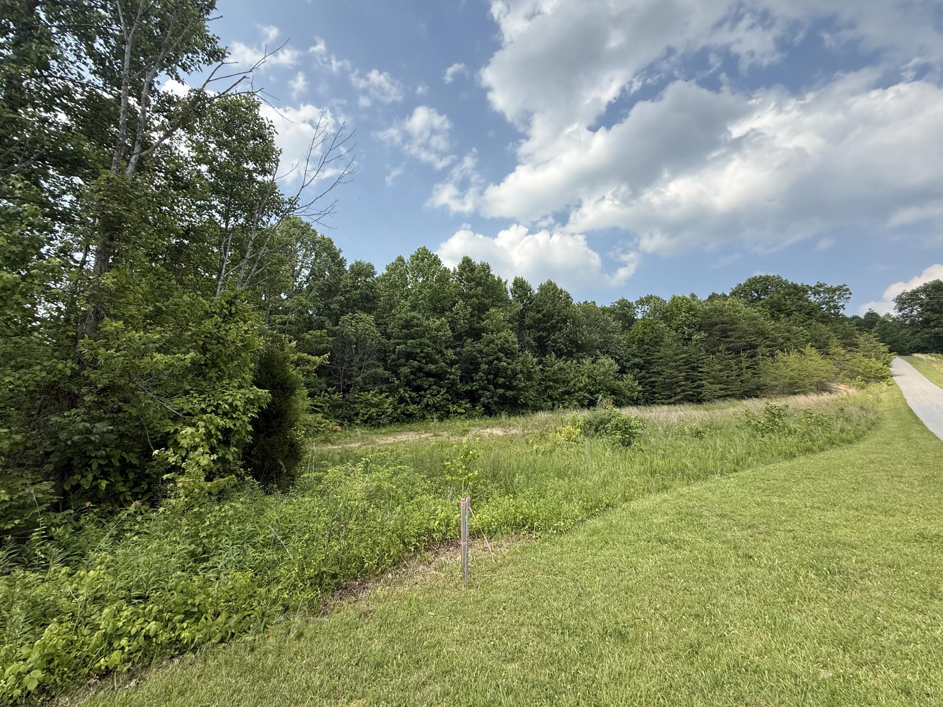 0 Morehead Road Property Photo 4