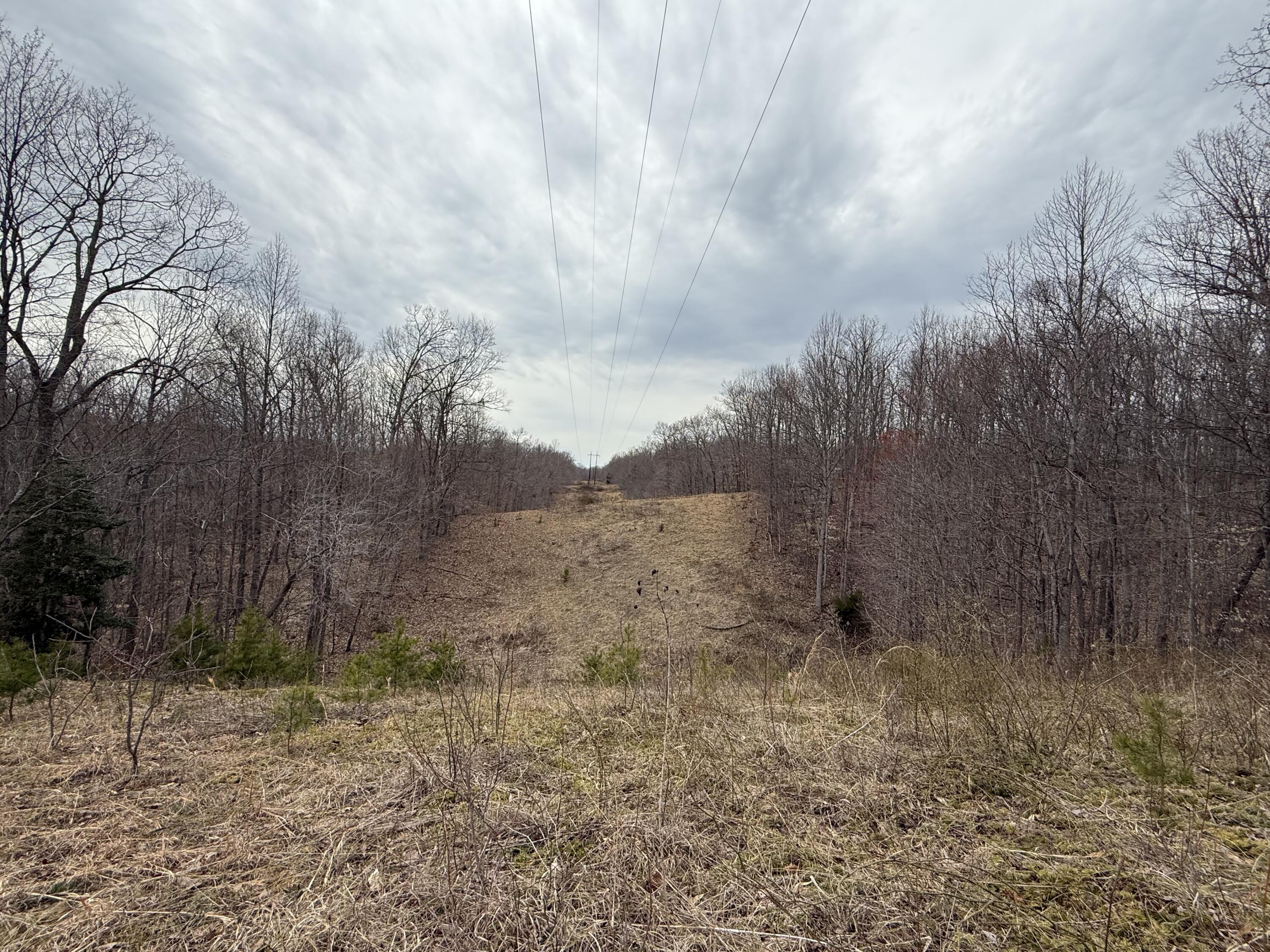 0 Morehead Road Property Photo 9