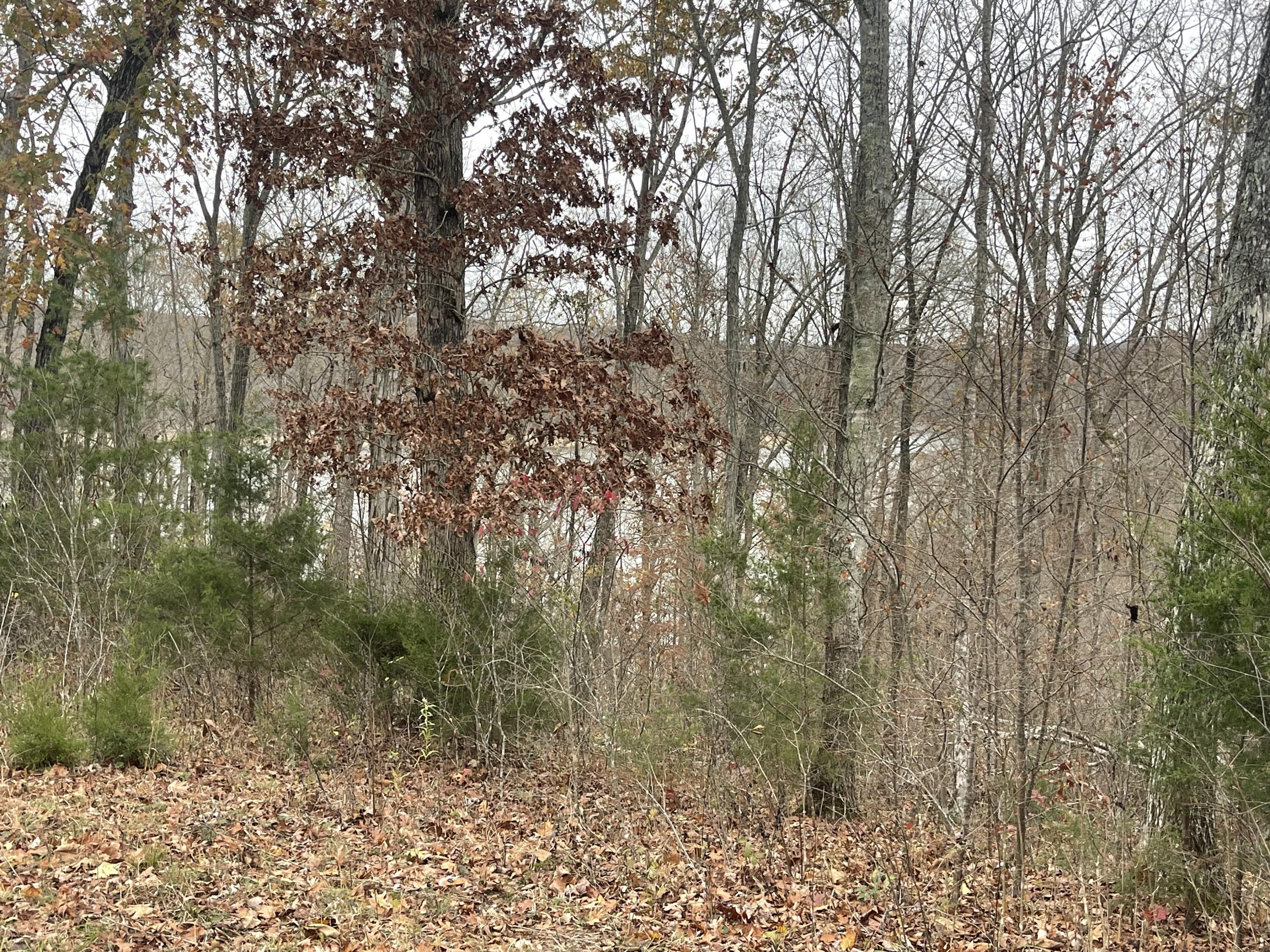 Lot 28 Cumberland Shores Property Photo 2
