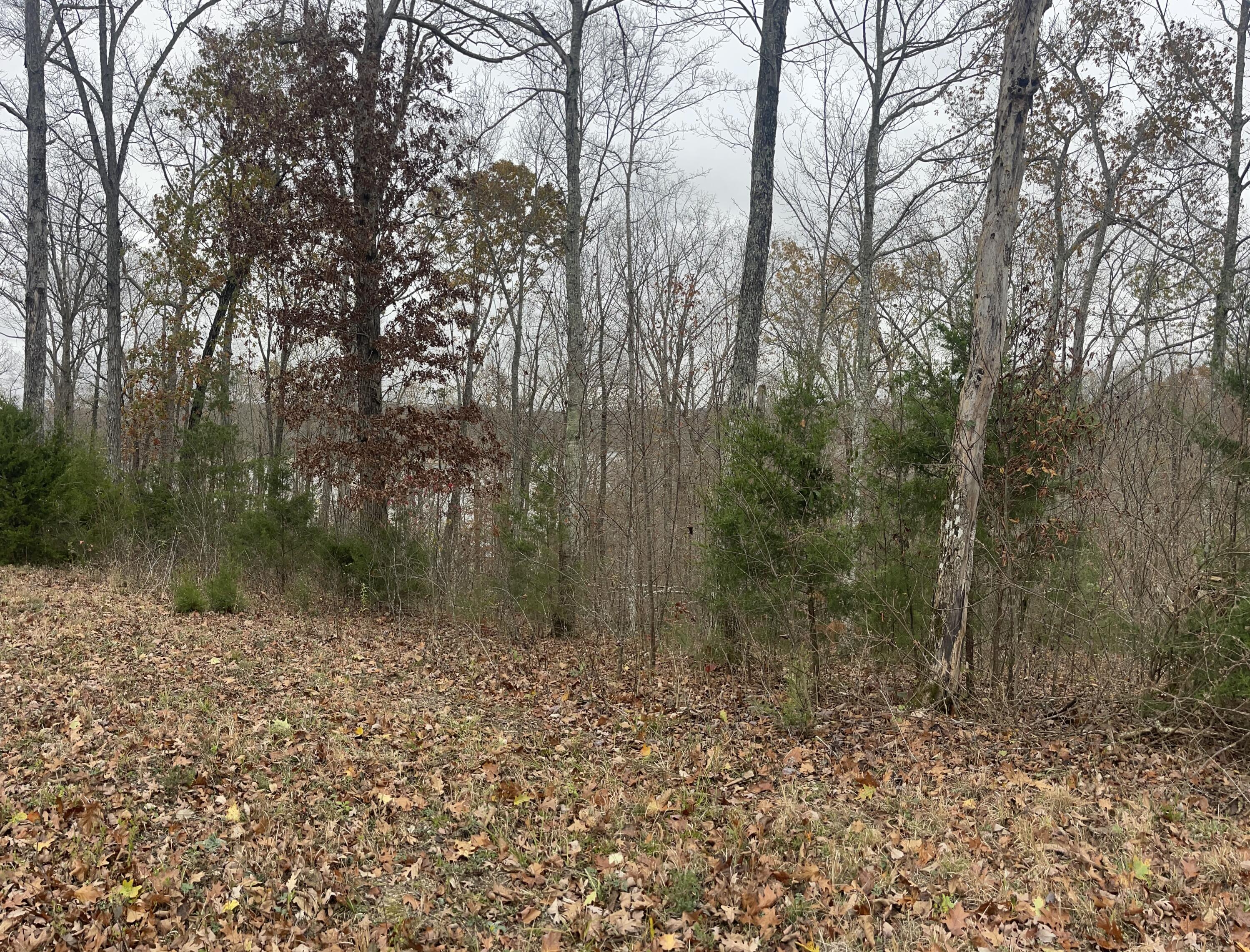 Lot 28 Cumberland Shores Property Photo 3