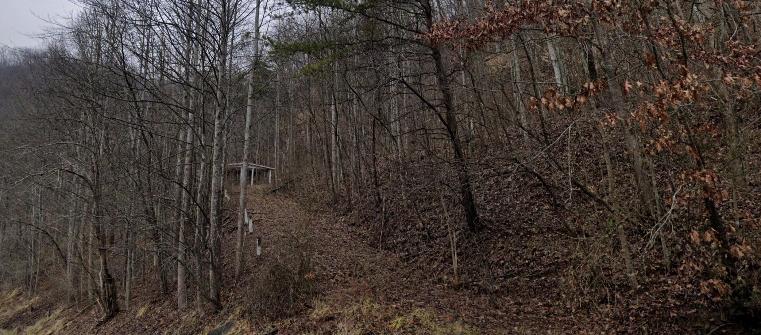 20184 Grapevine Road Property Photo 3