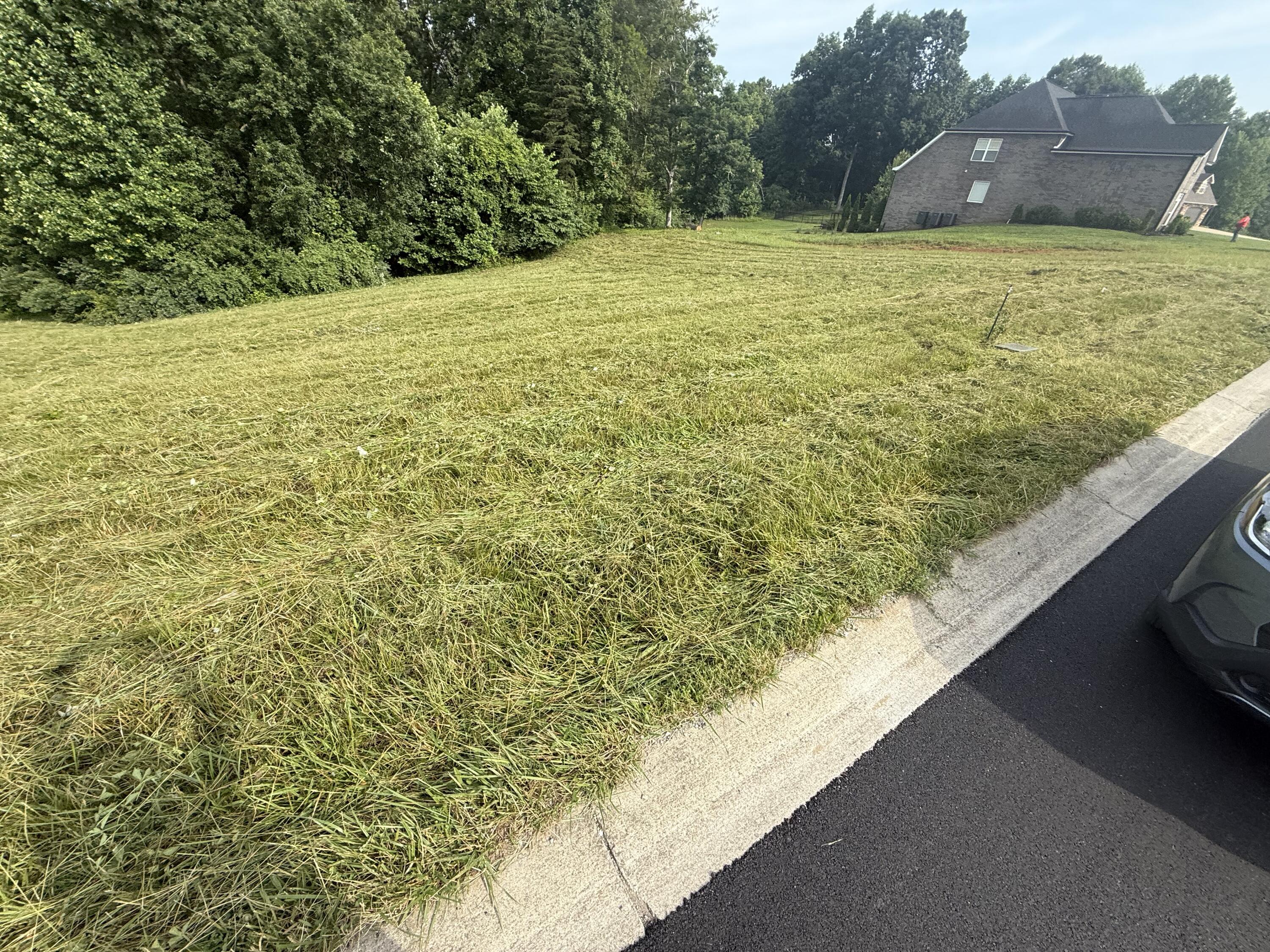 121 Tatum Point Drive Property Photo 6
