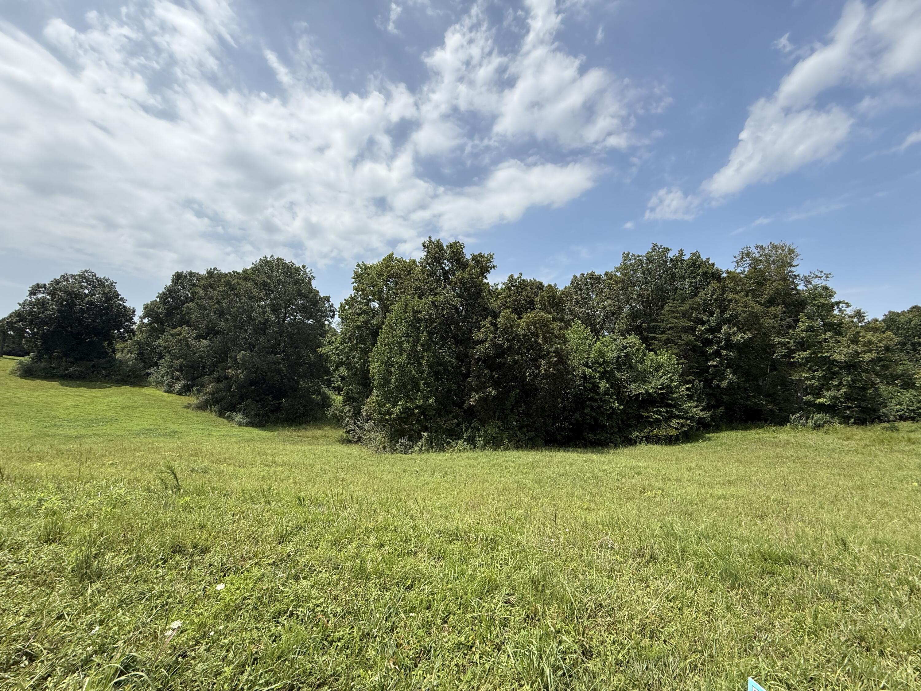 121 Tatum Point Drive Property Photo 12