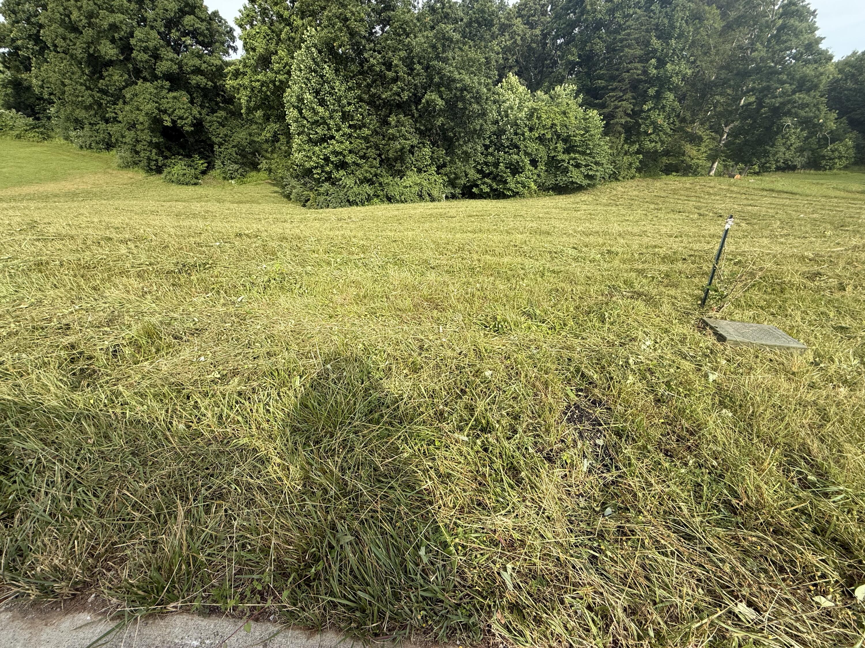 121 Tatum Point Drive Property Photo 13