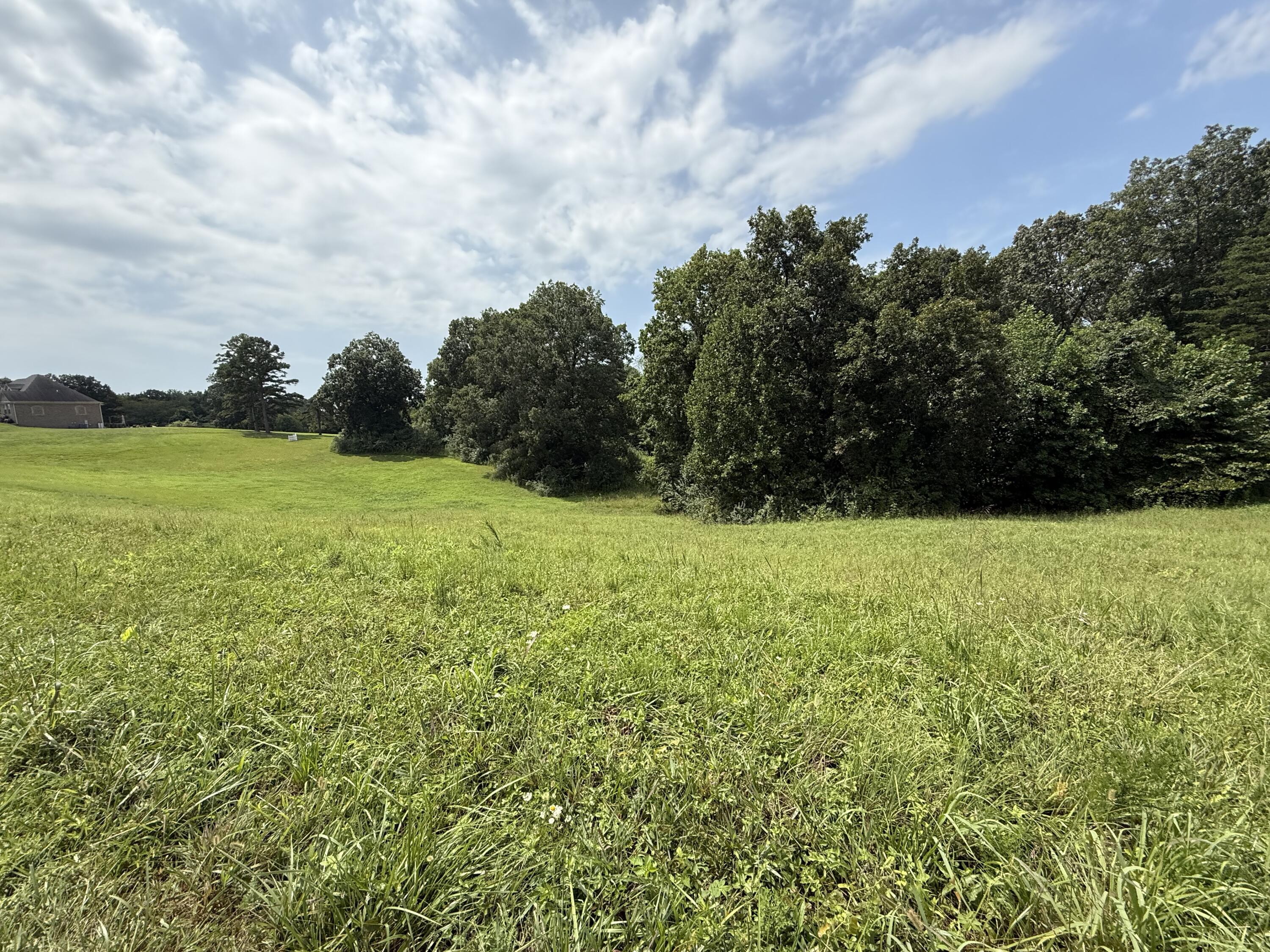 121 Tatum Point Drive Property Photo 24