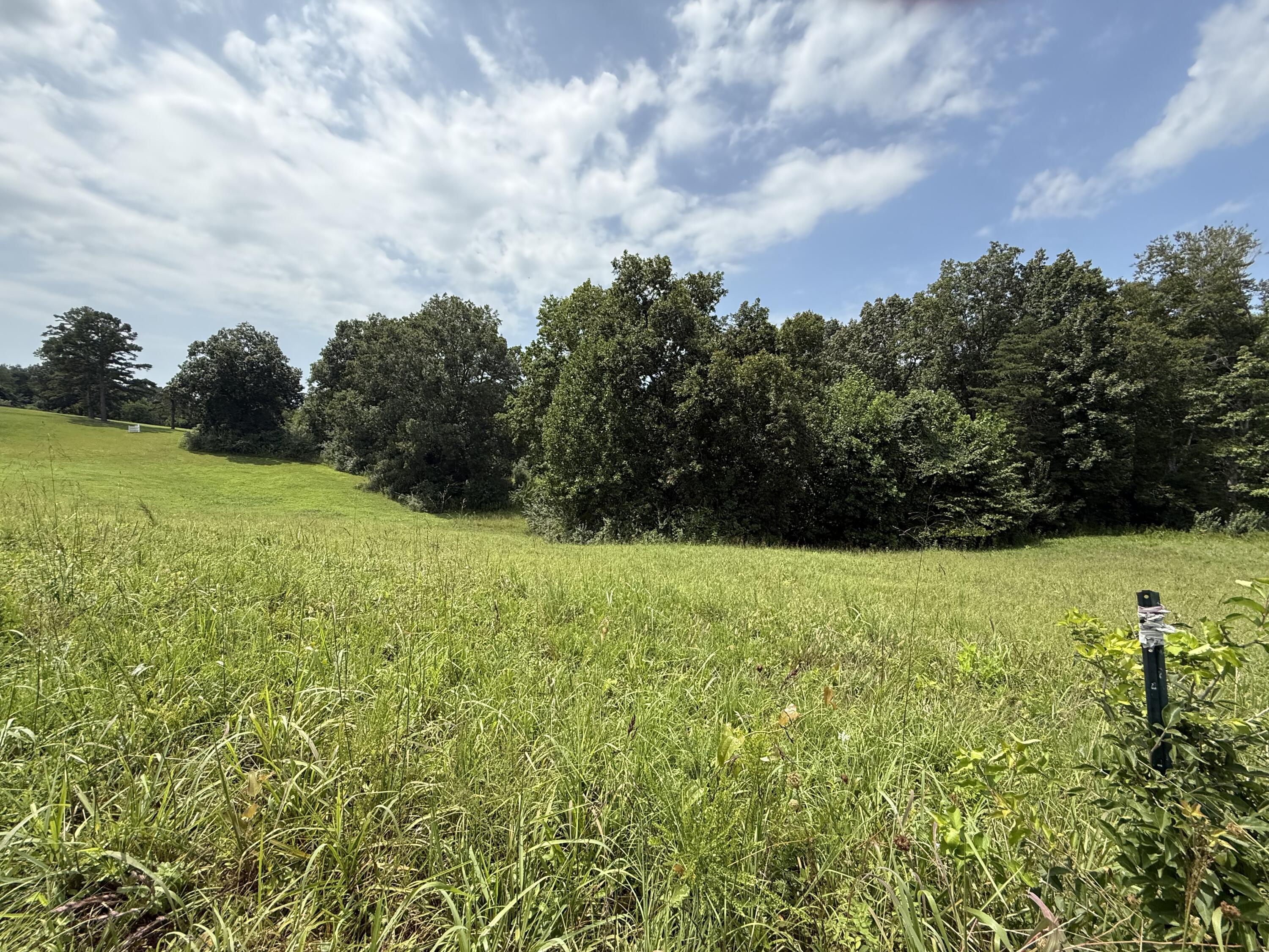 121 Tatum Point Drive Property Photo 25