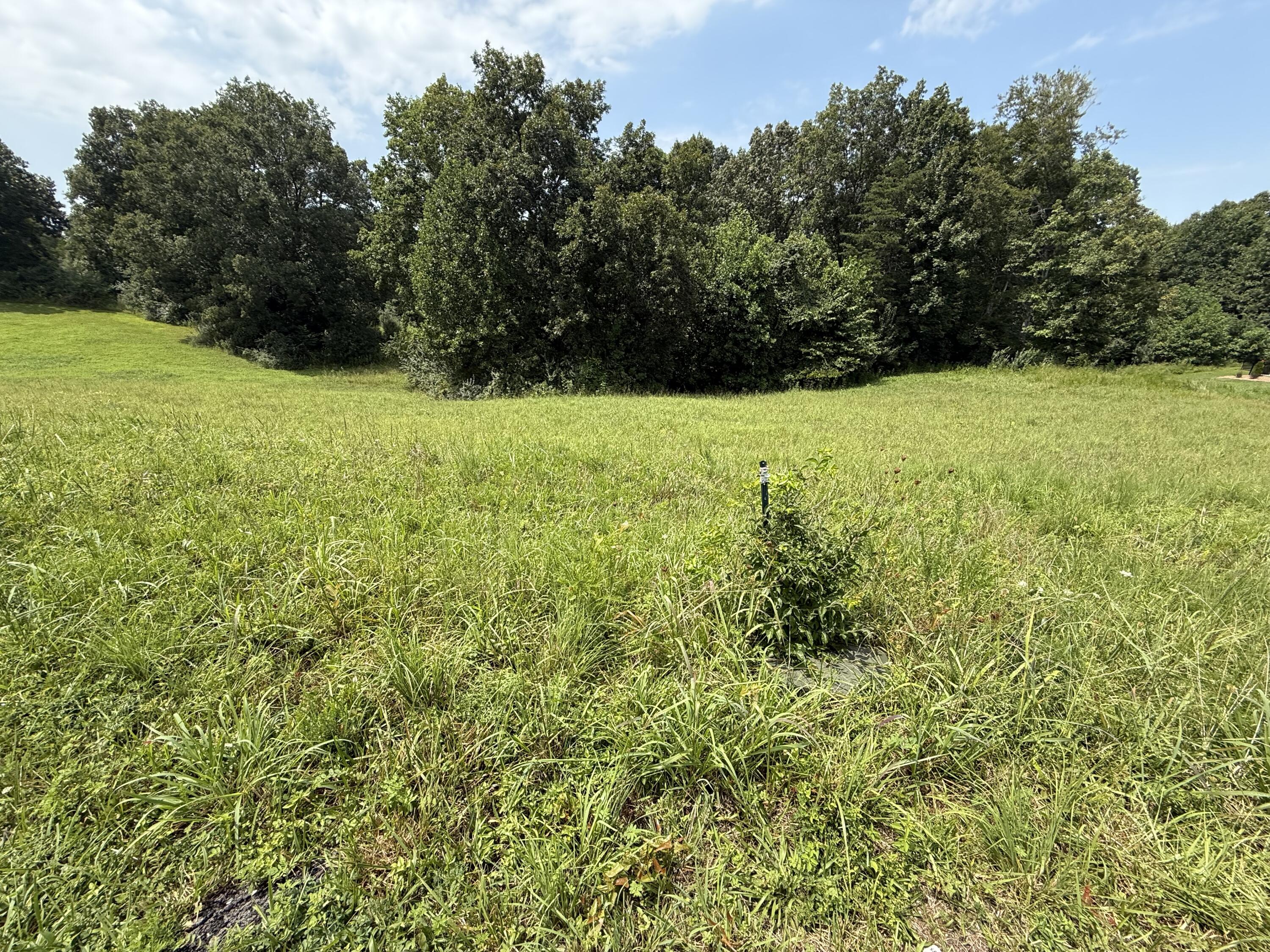 121 Tatum Point Drive Property Photo 27
