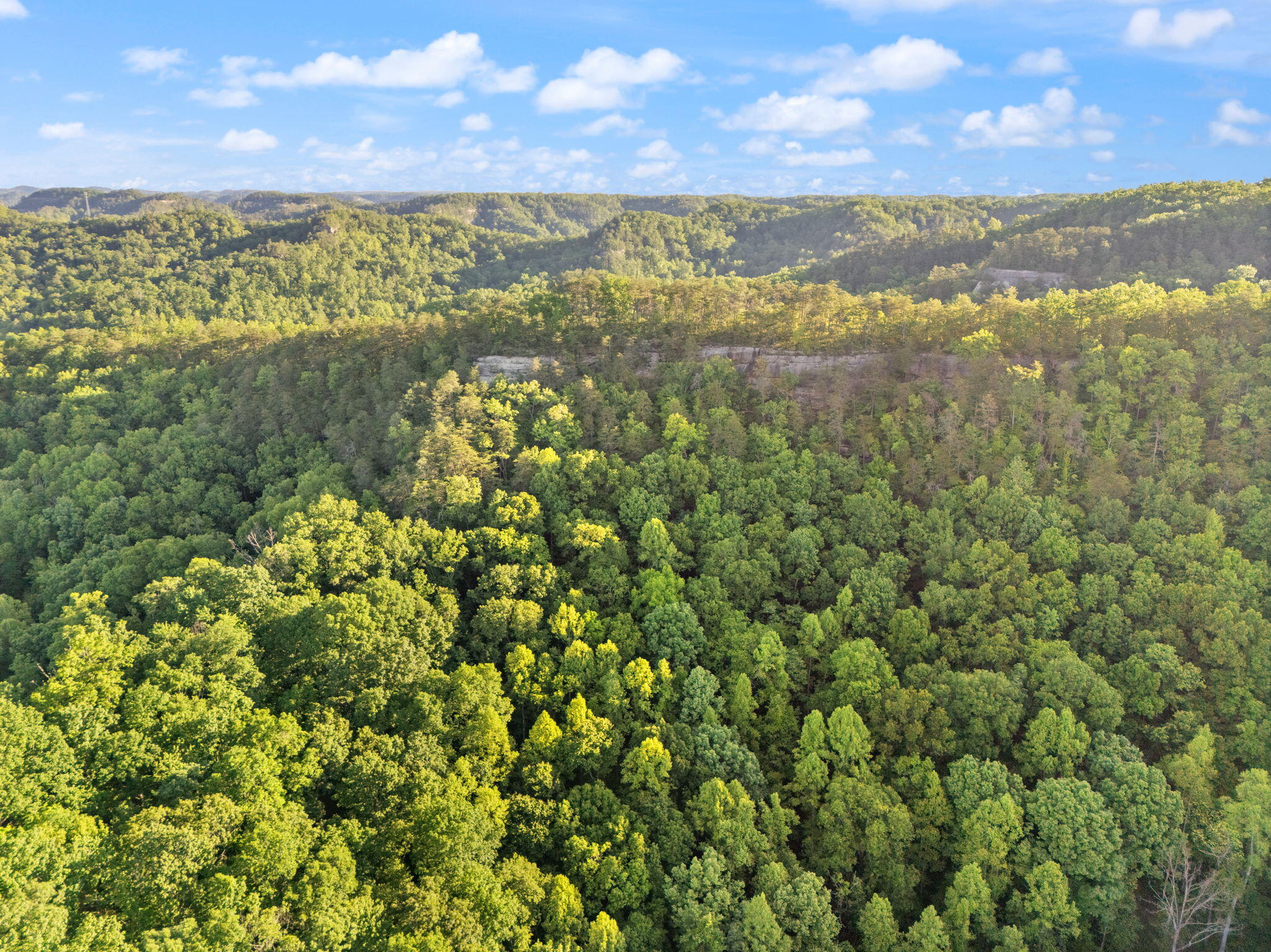 12332 Campton Road Property Photo 9