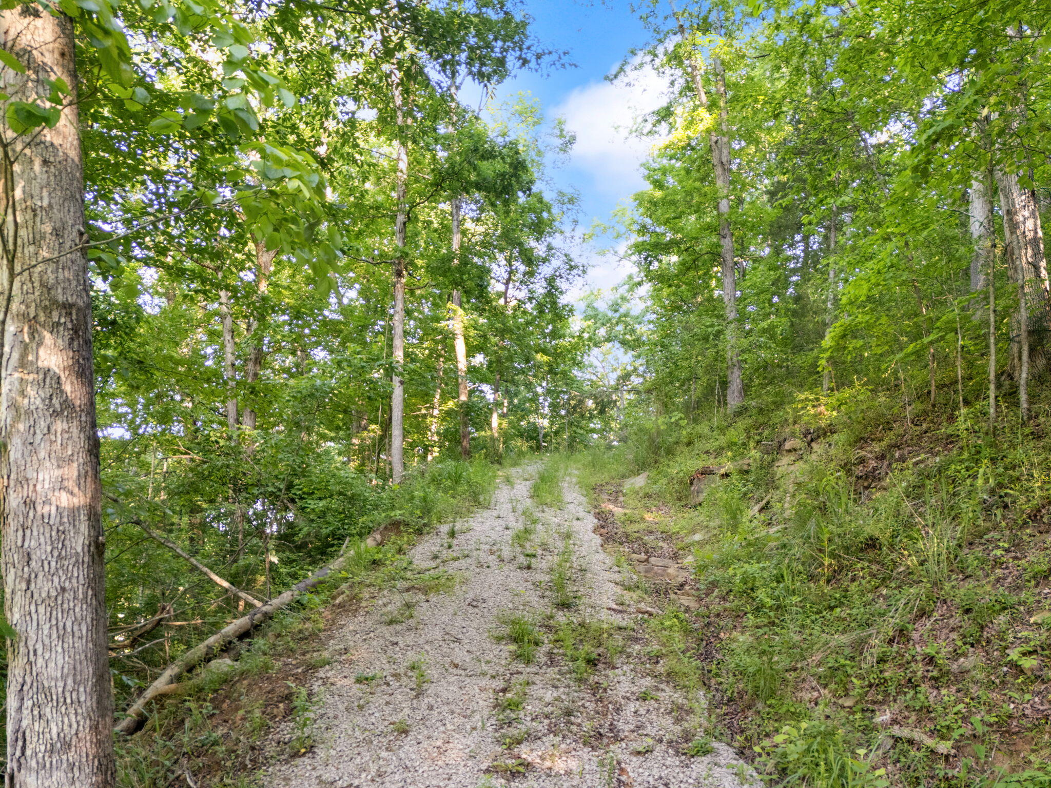 12332 Campton Road Property Photo 12