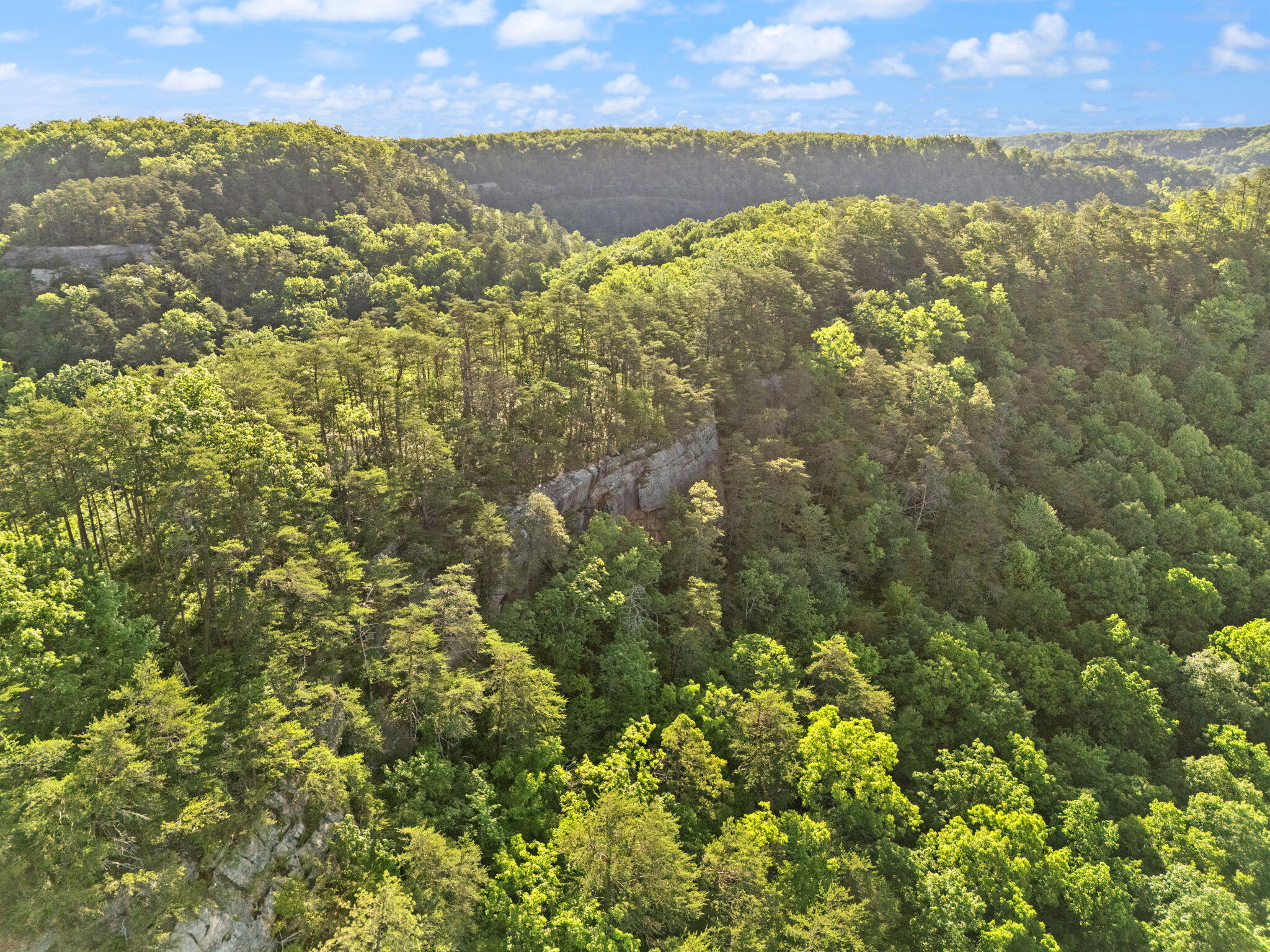 12332 Campton Road Property Photo 18