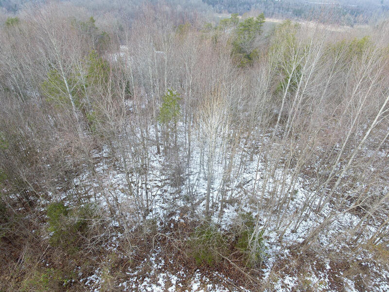 Lot 51 Shepperd Property Photo 6