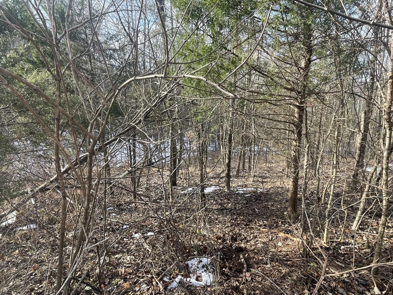 Lot 51 Shepperd Property Photo 15