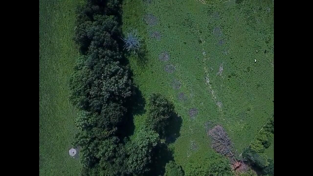 1440 Lawson Bend Road Property Photo 45