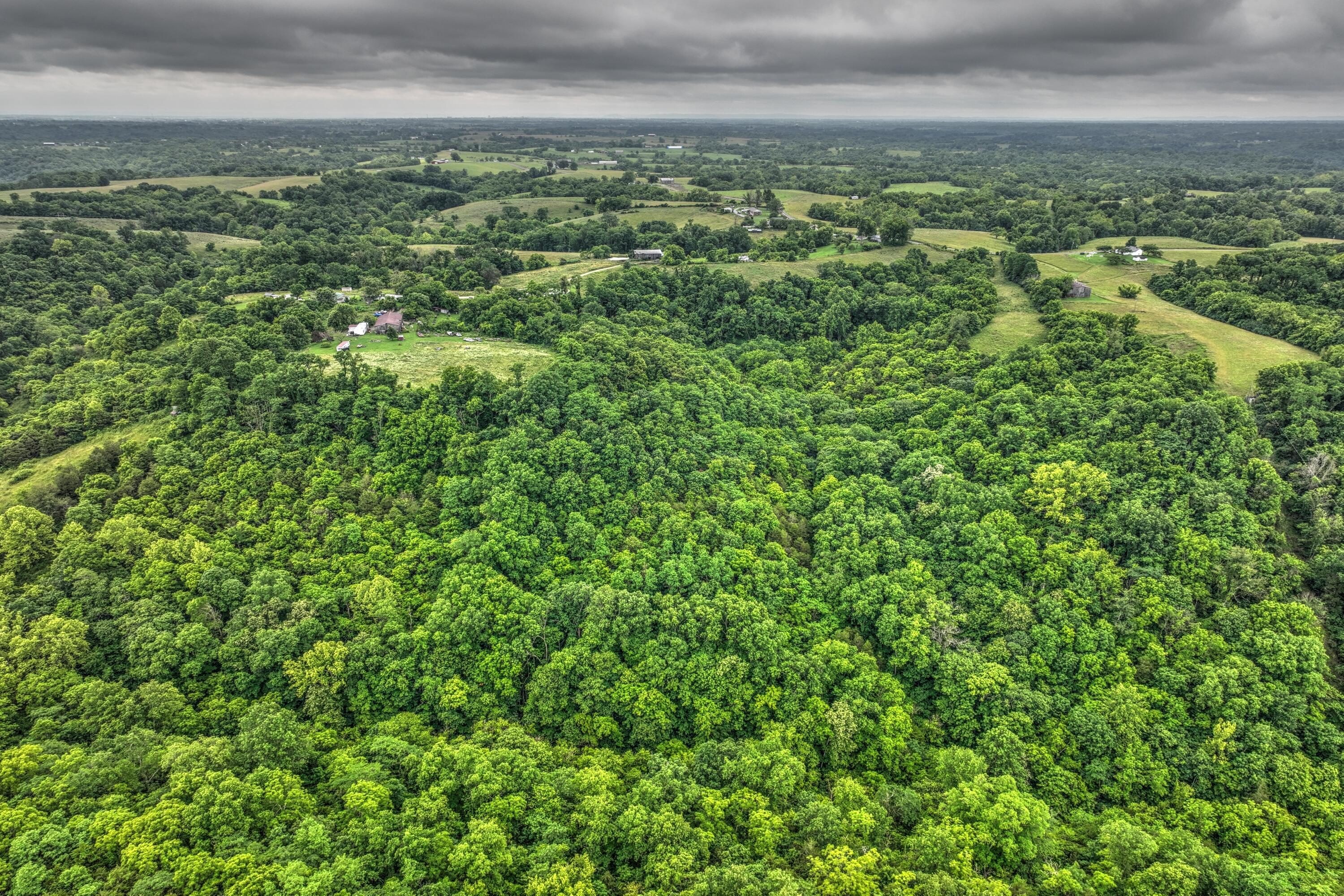 9999 Jacks Creek Road Property Photo 9
