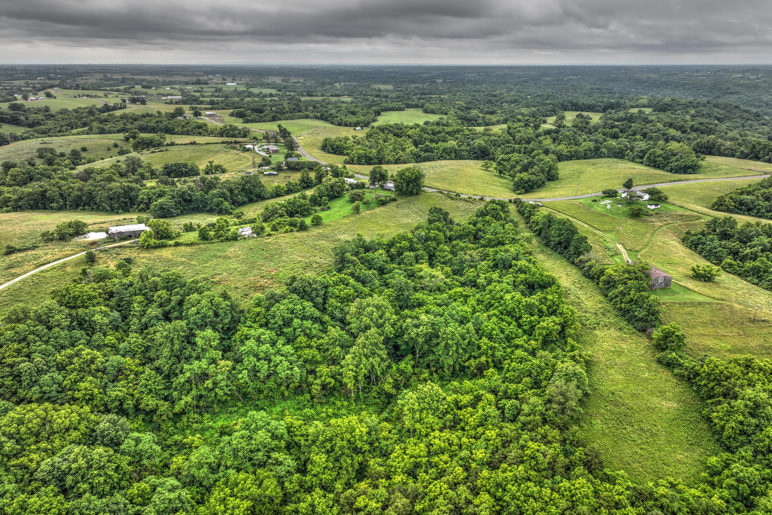 9999 Jacks Creek Road Property Photo 11