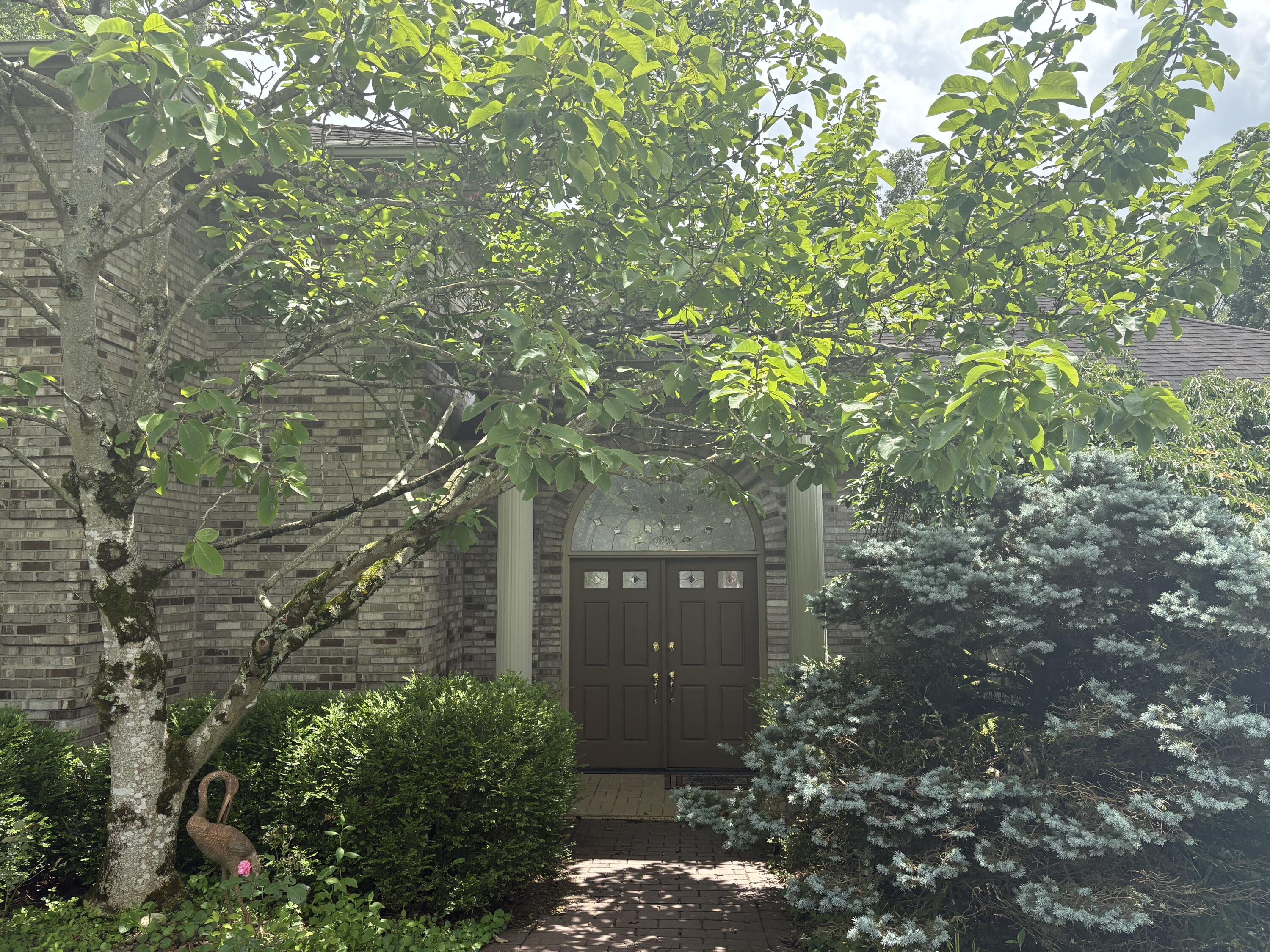 260 Beech Fork Boulevard Property Photo 2
