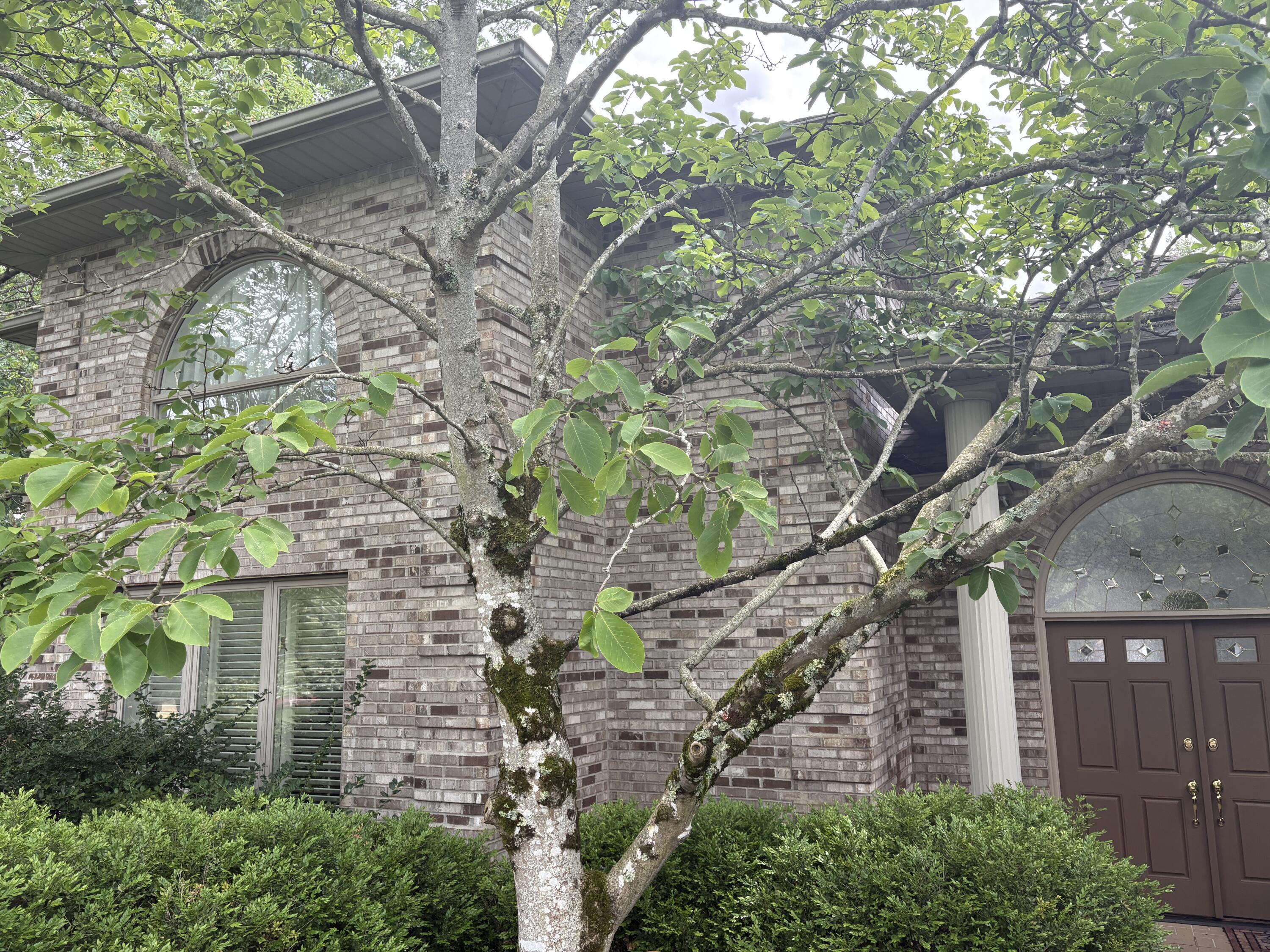 260 Beech Fork Boulevard Property Photo 3