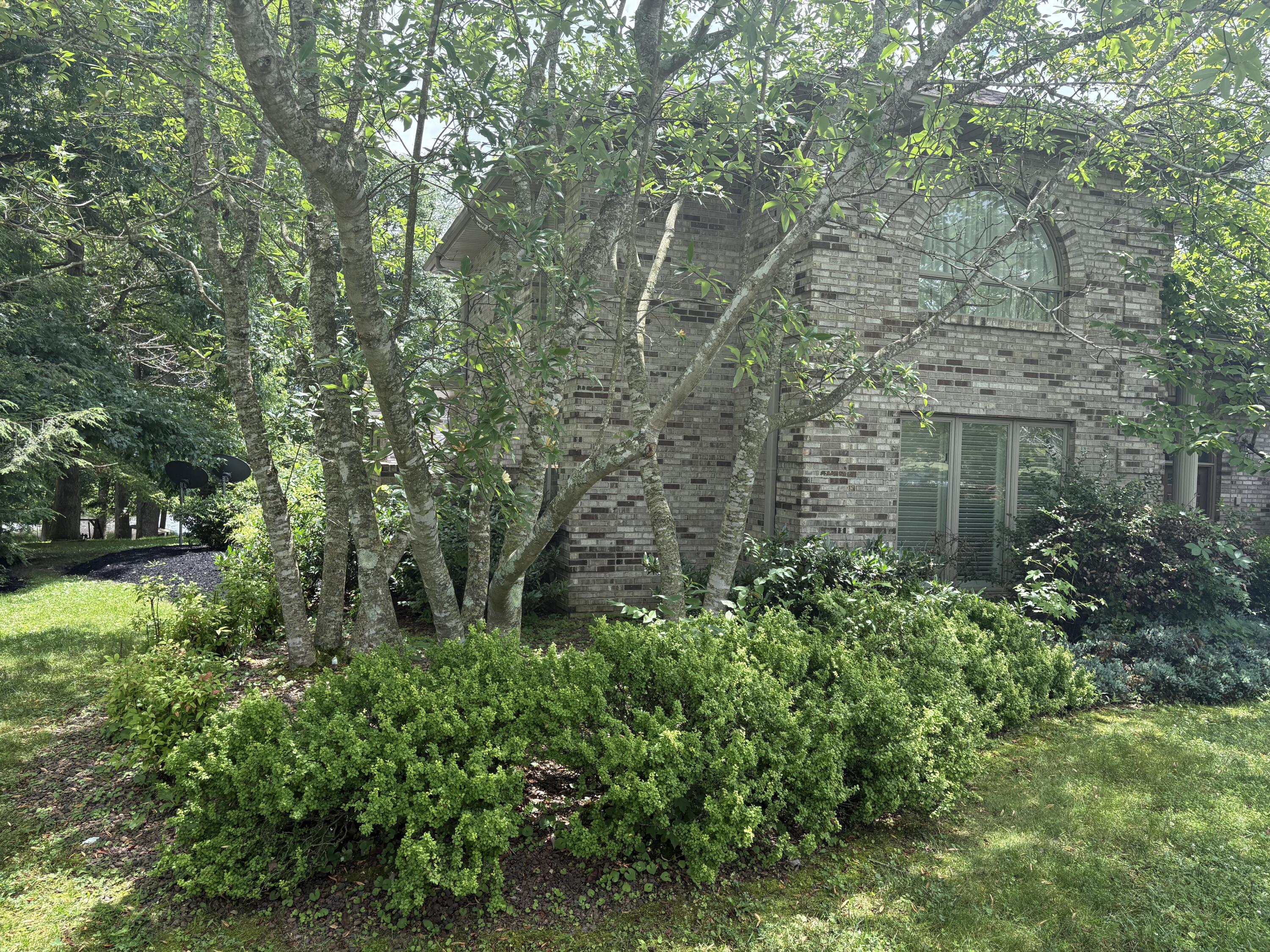 260 Beech Fork Boulevard Property Photo 9