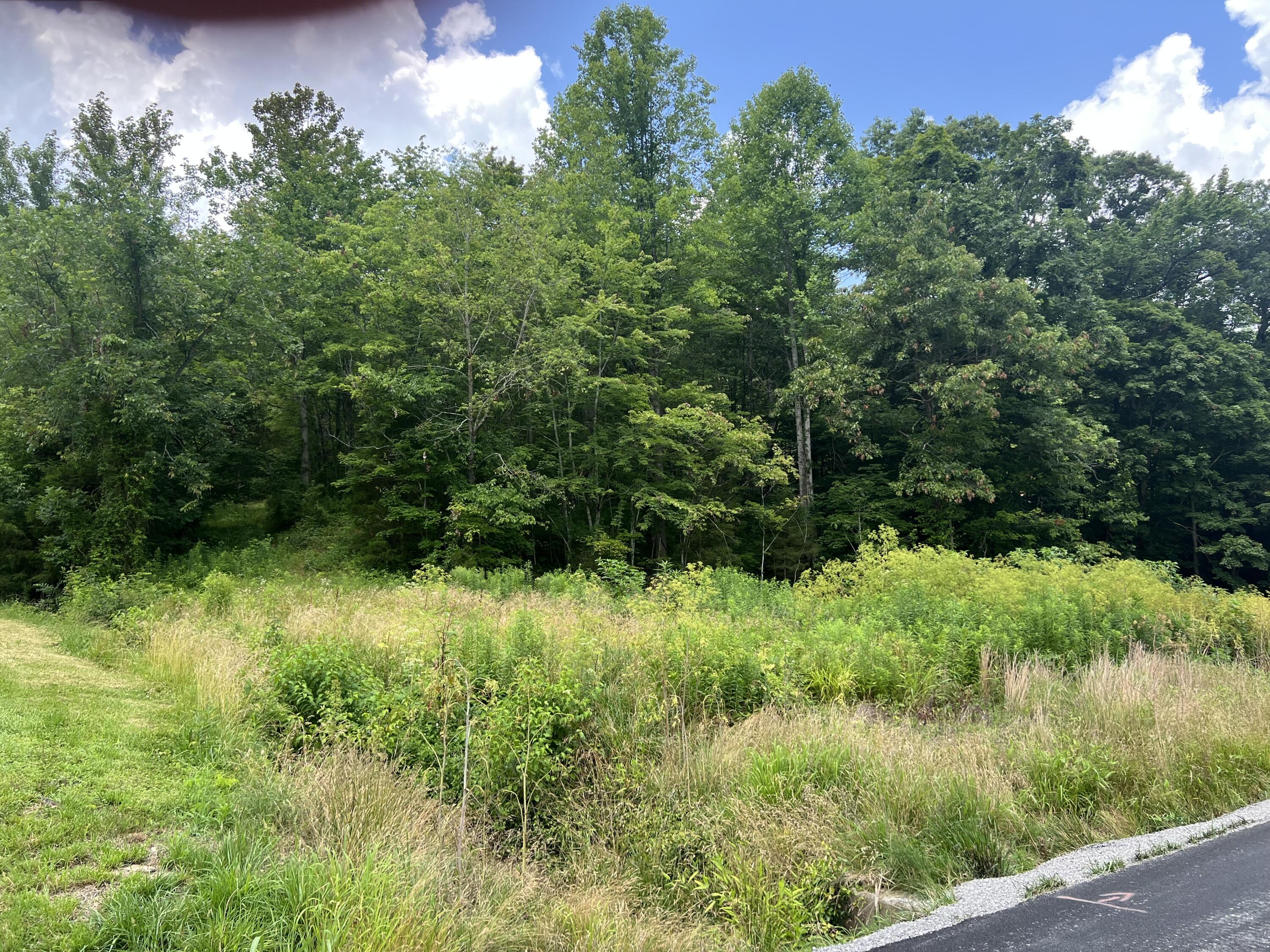 9999 White Oak Road Property Photo 1