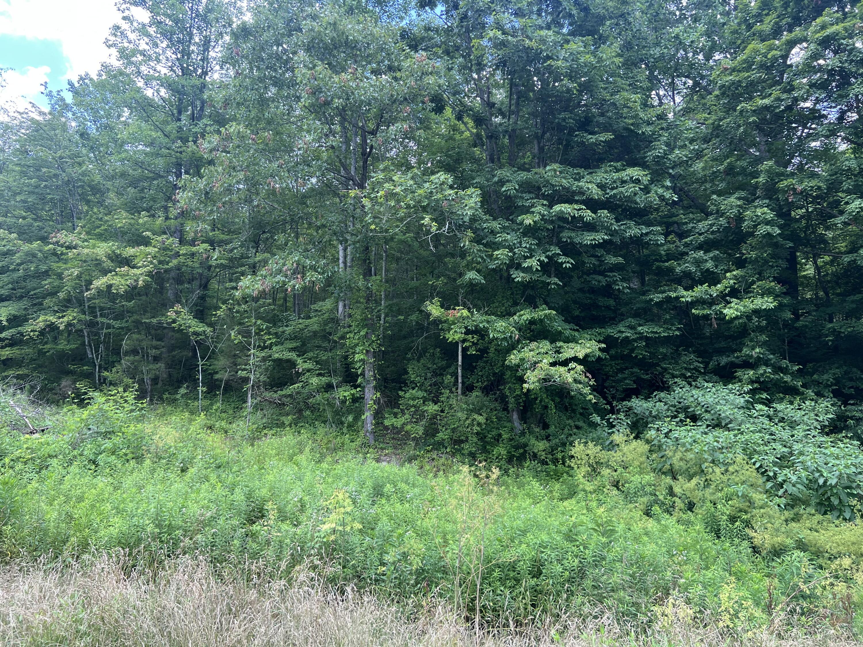 9999 White Oak Road Property Photo 2