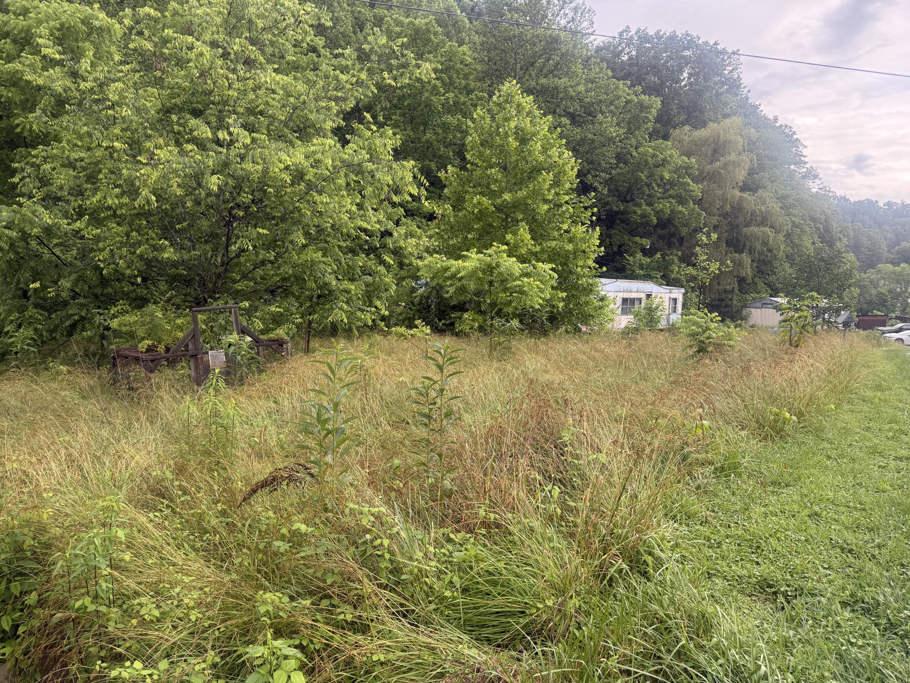 293 Ora Stevens Road Property Photo 4
