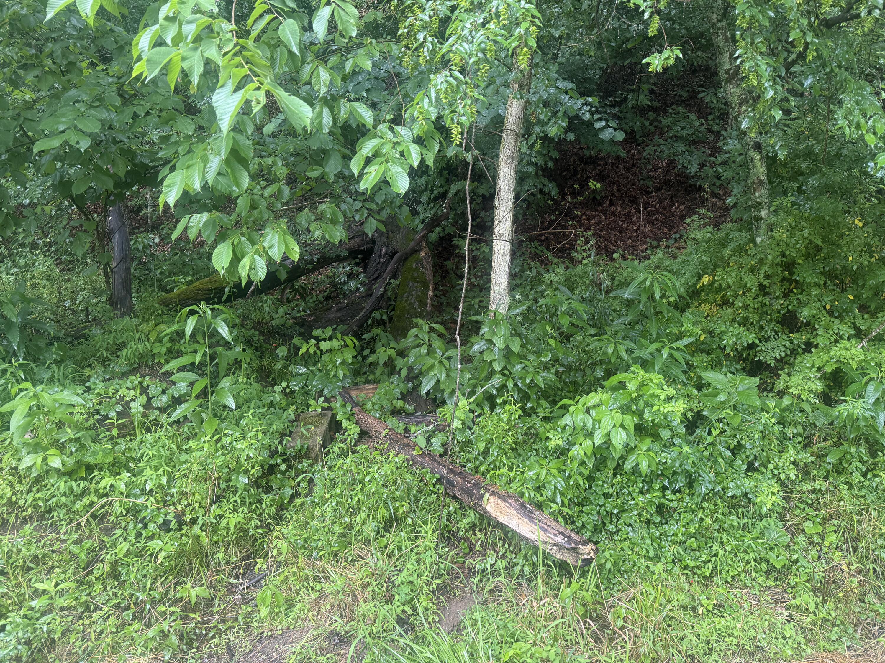 293 Ora Stevens Road Property Photo 8