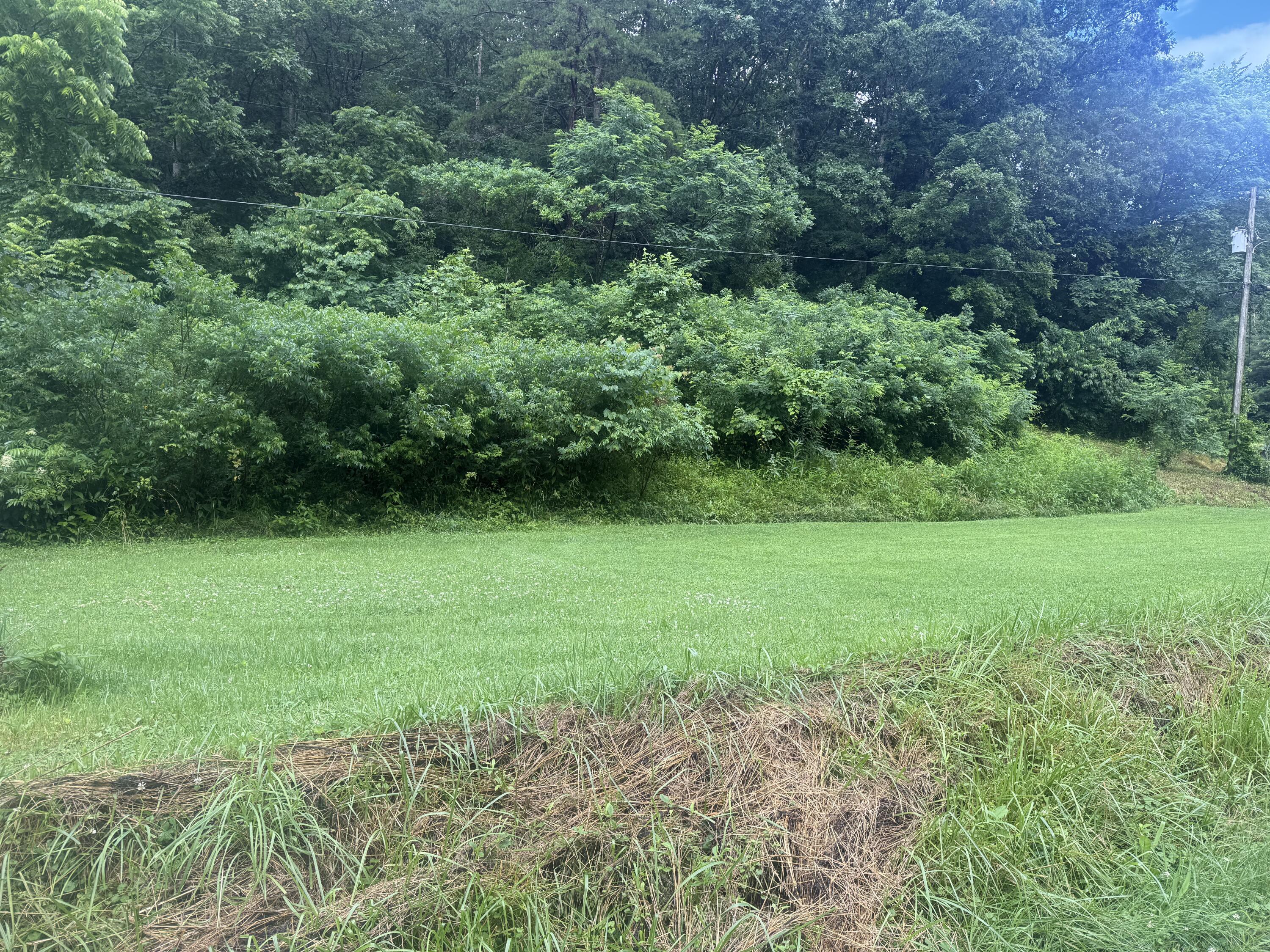 293 Ora Stevens Road Property Photo 15