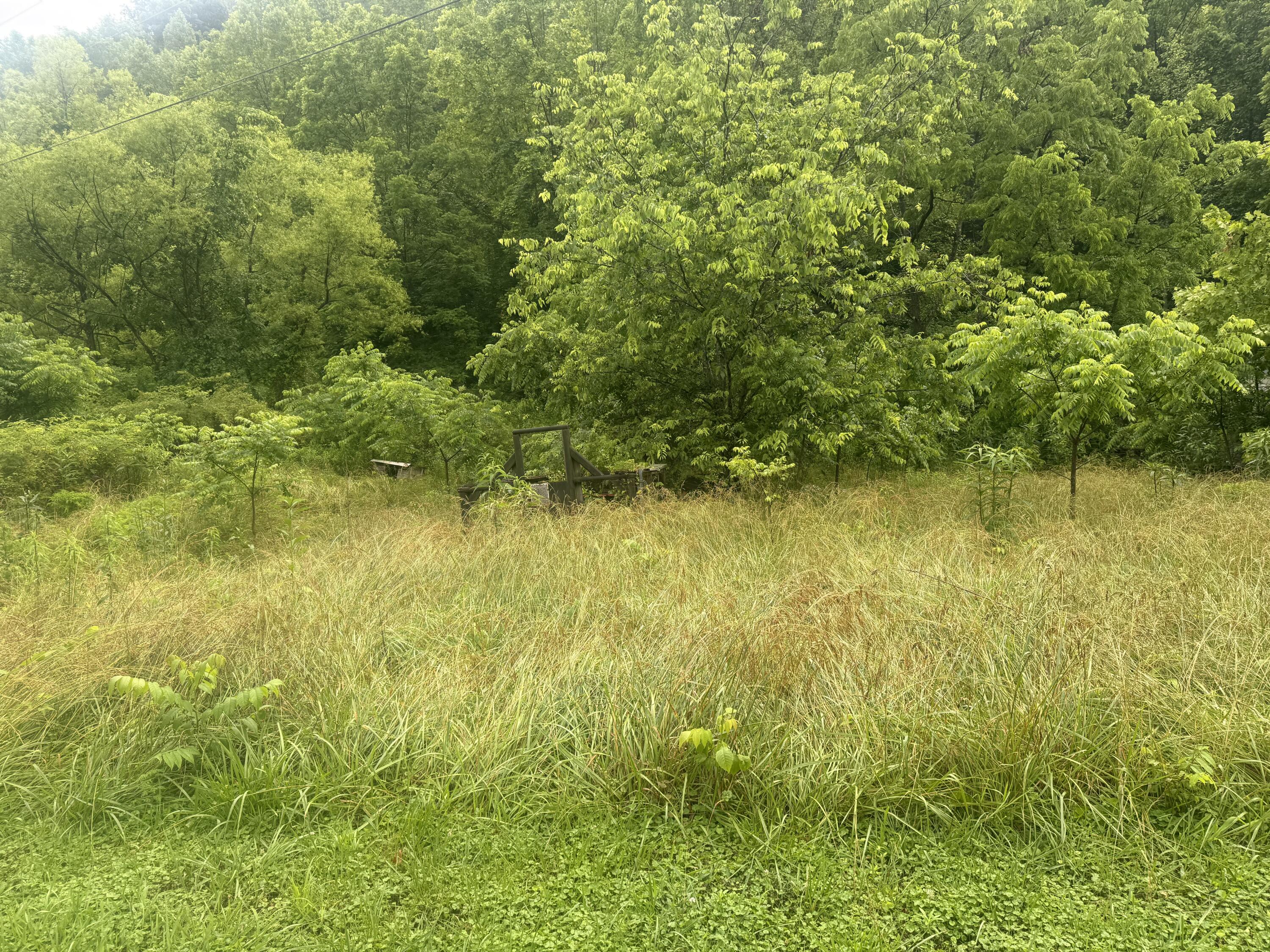 293 Ora Stevens Road Property Photo 17