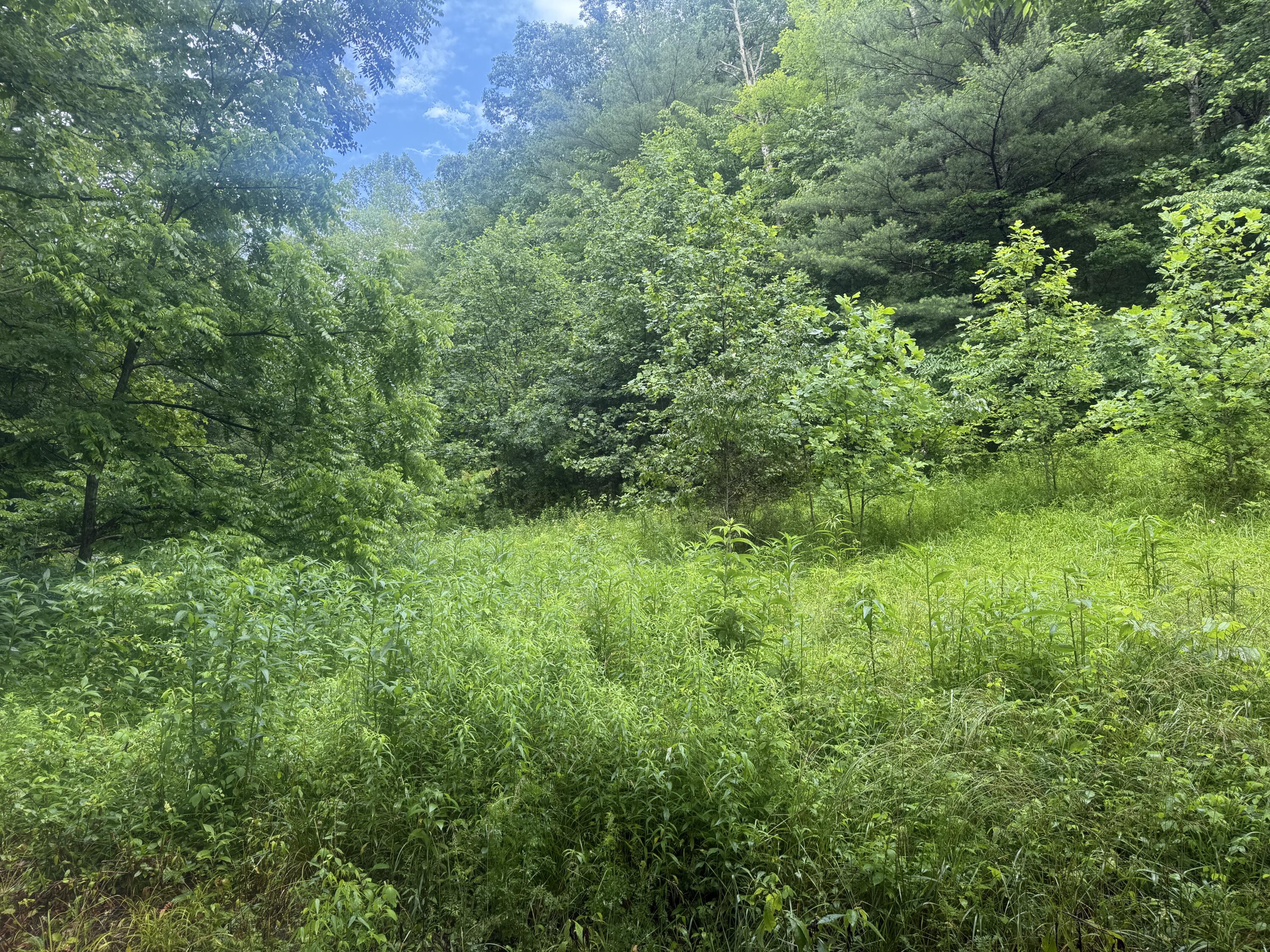 293 Ora Stevens Road Property Photo 19