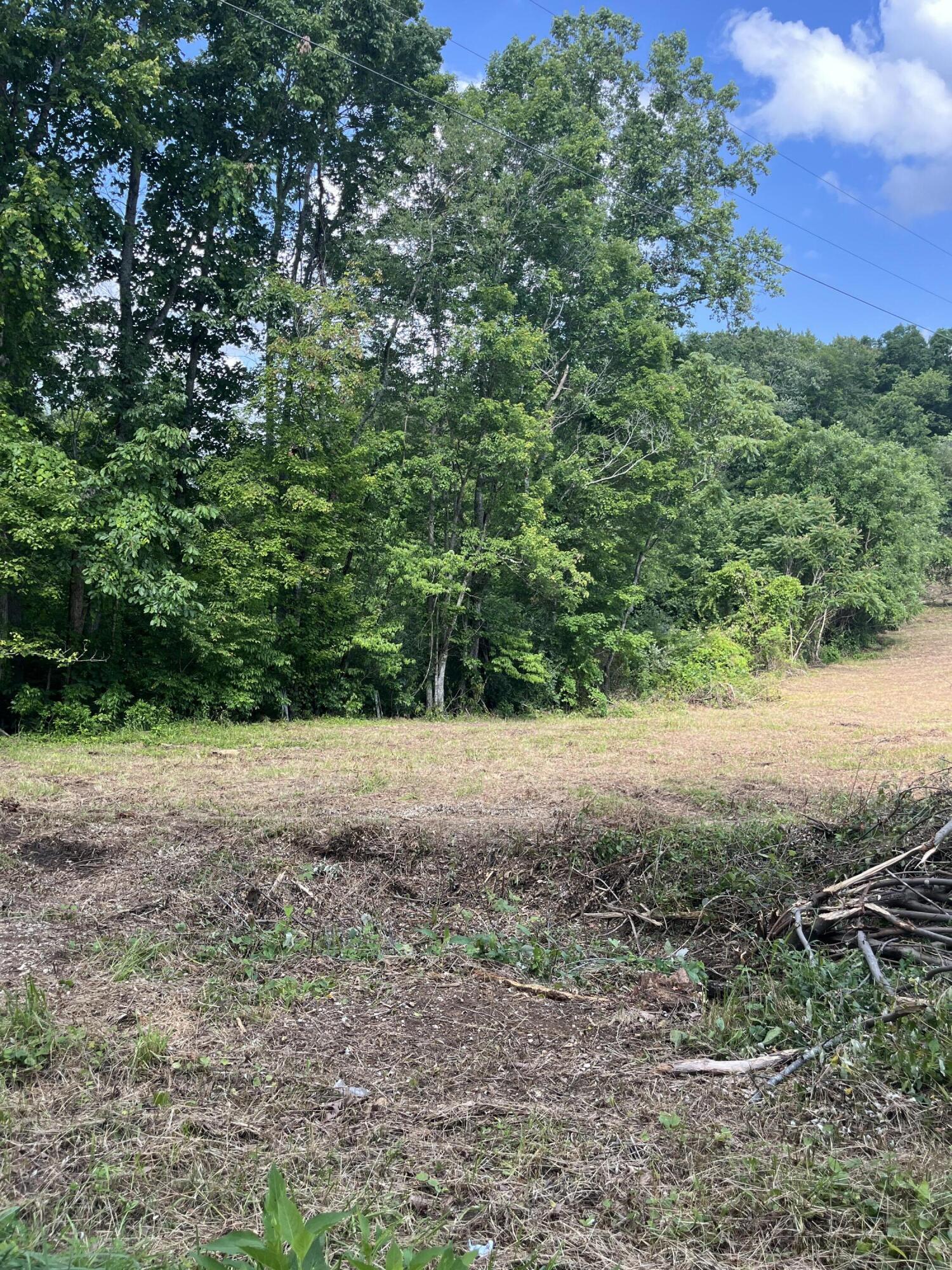 1496 Conrad Cemetary Road Property Photo 10