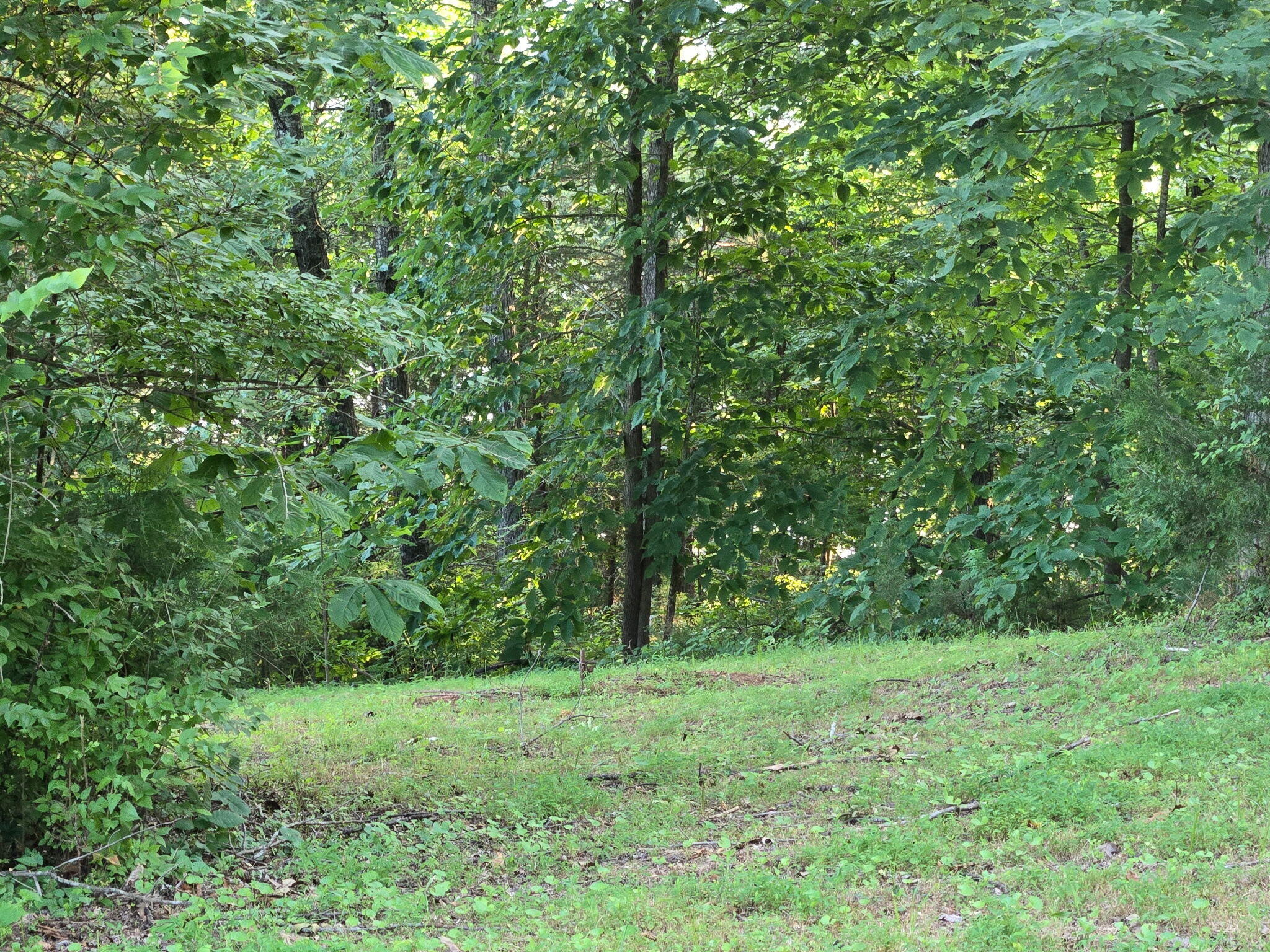 12/13 Meece Ave Property Photo 14