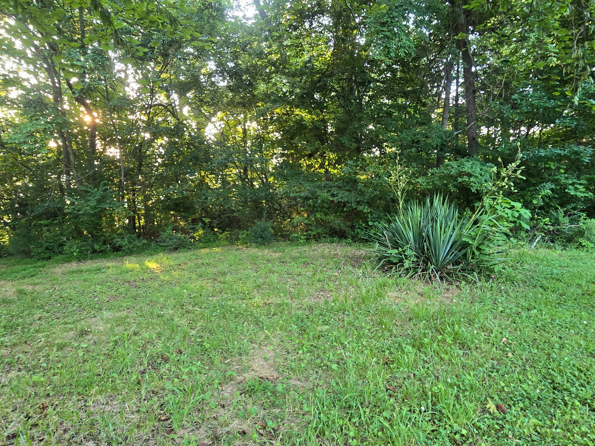 12/13 Meece Ave Property Photo 17