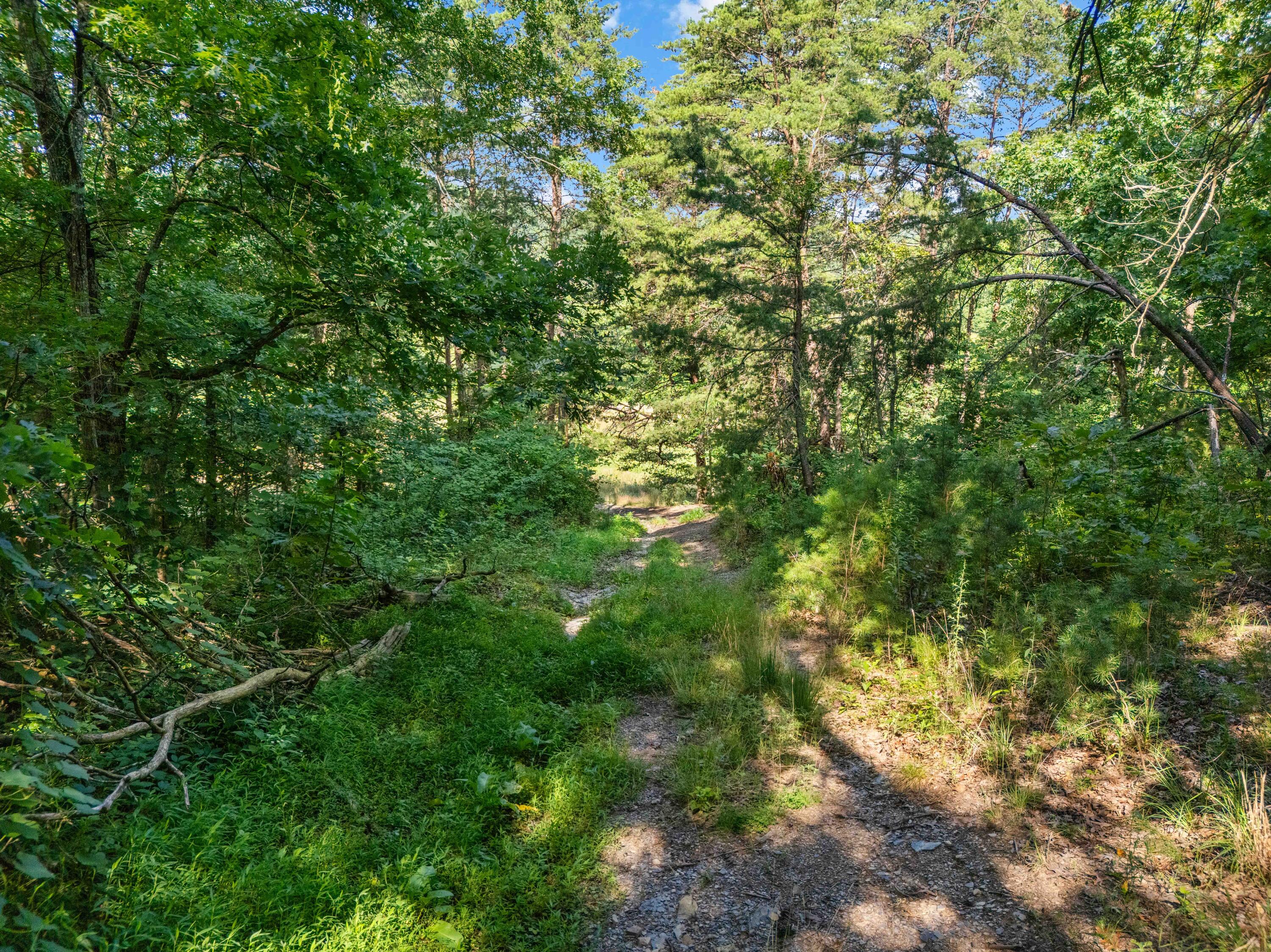 1100 Doublegate Road Property Photo 68