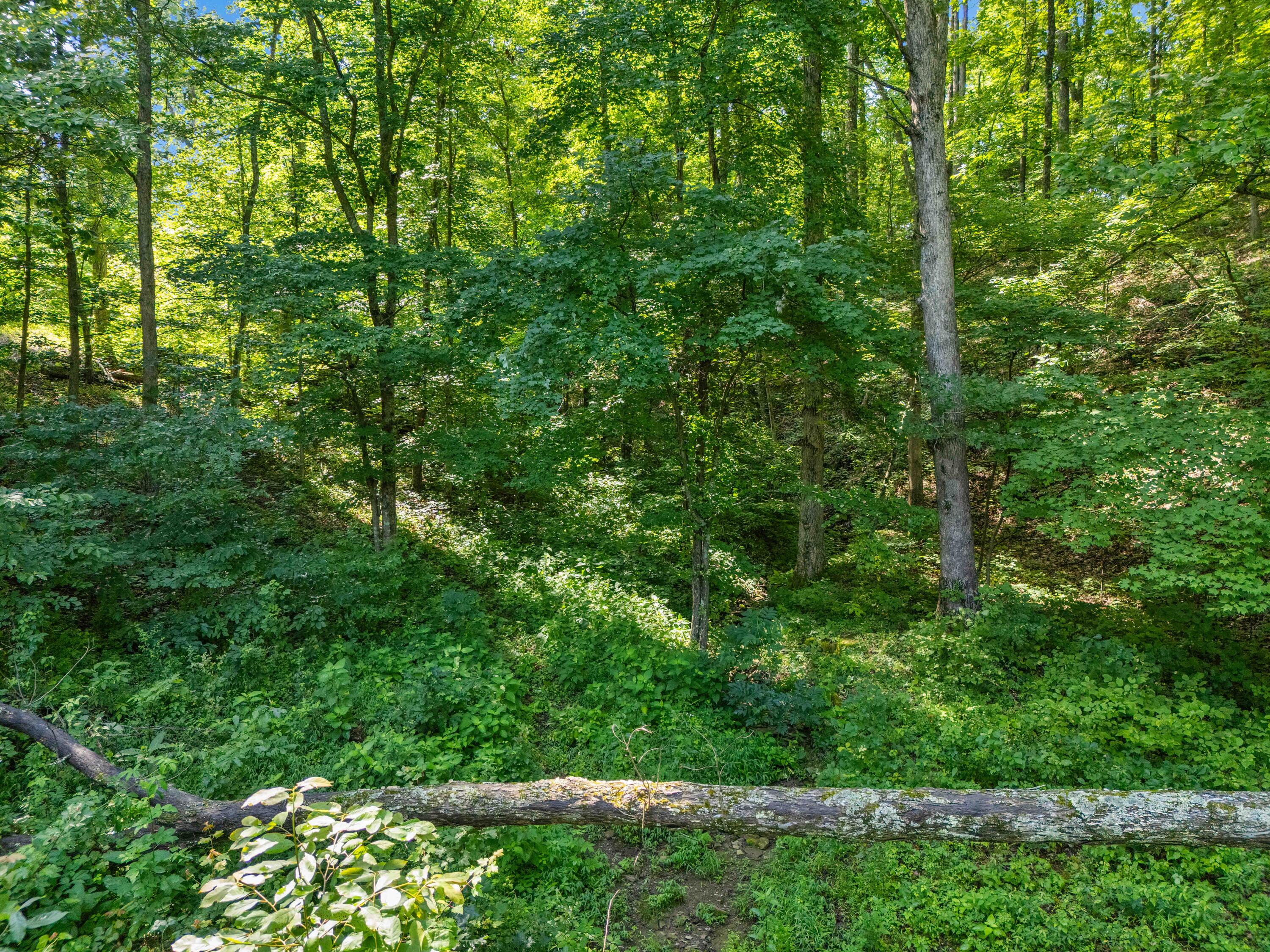 1100 Doublegate Road Property Photo 69
