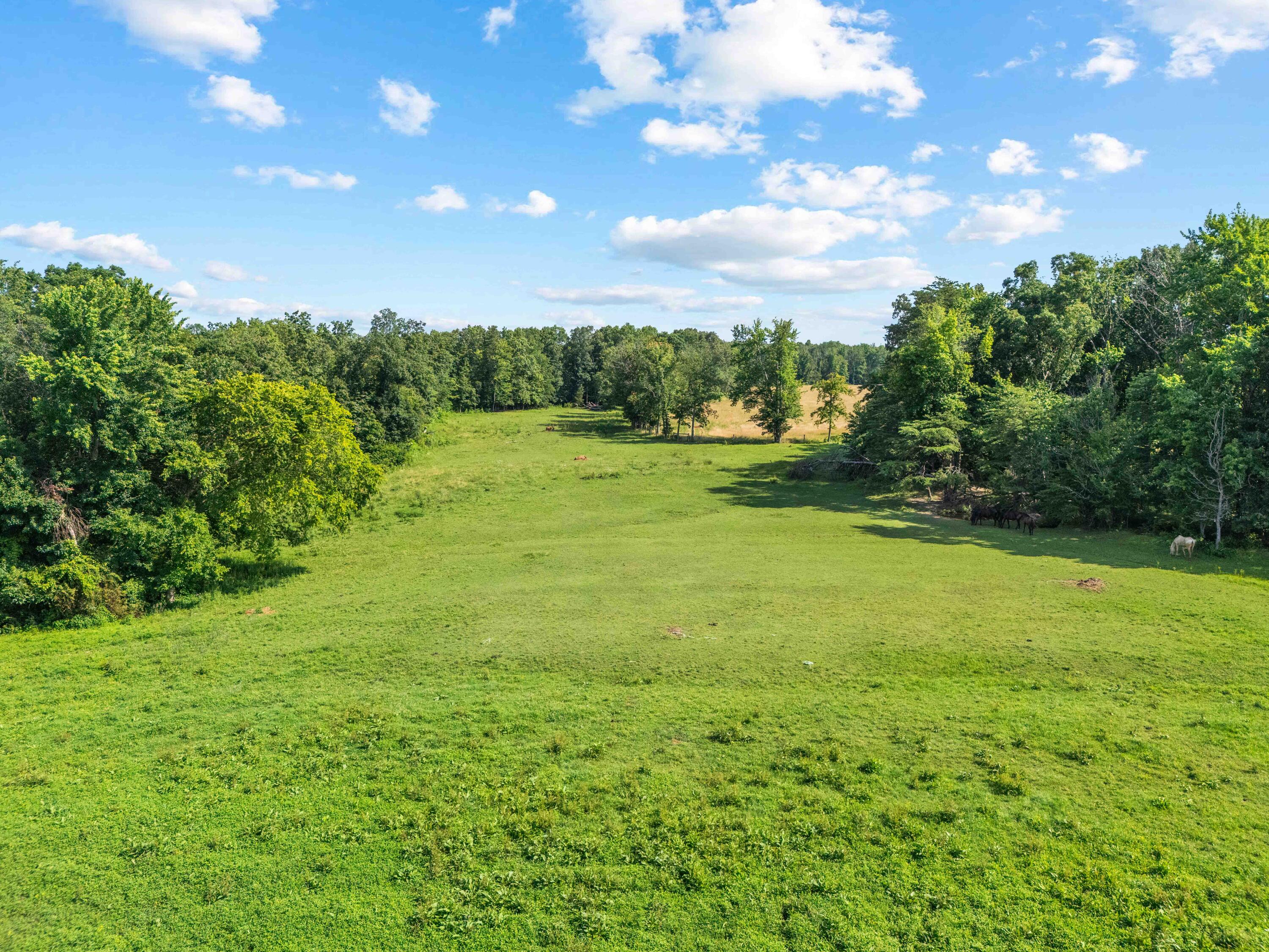 1100 Doublegate Road Property Photo 88