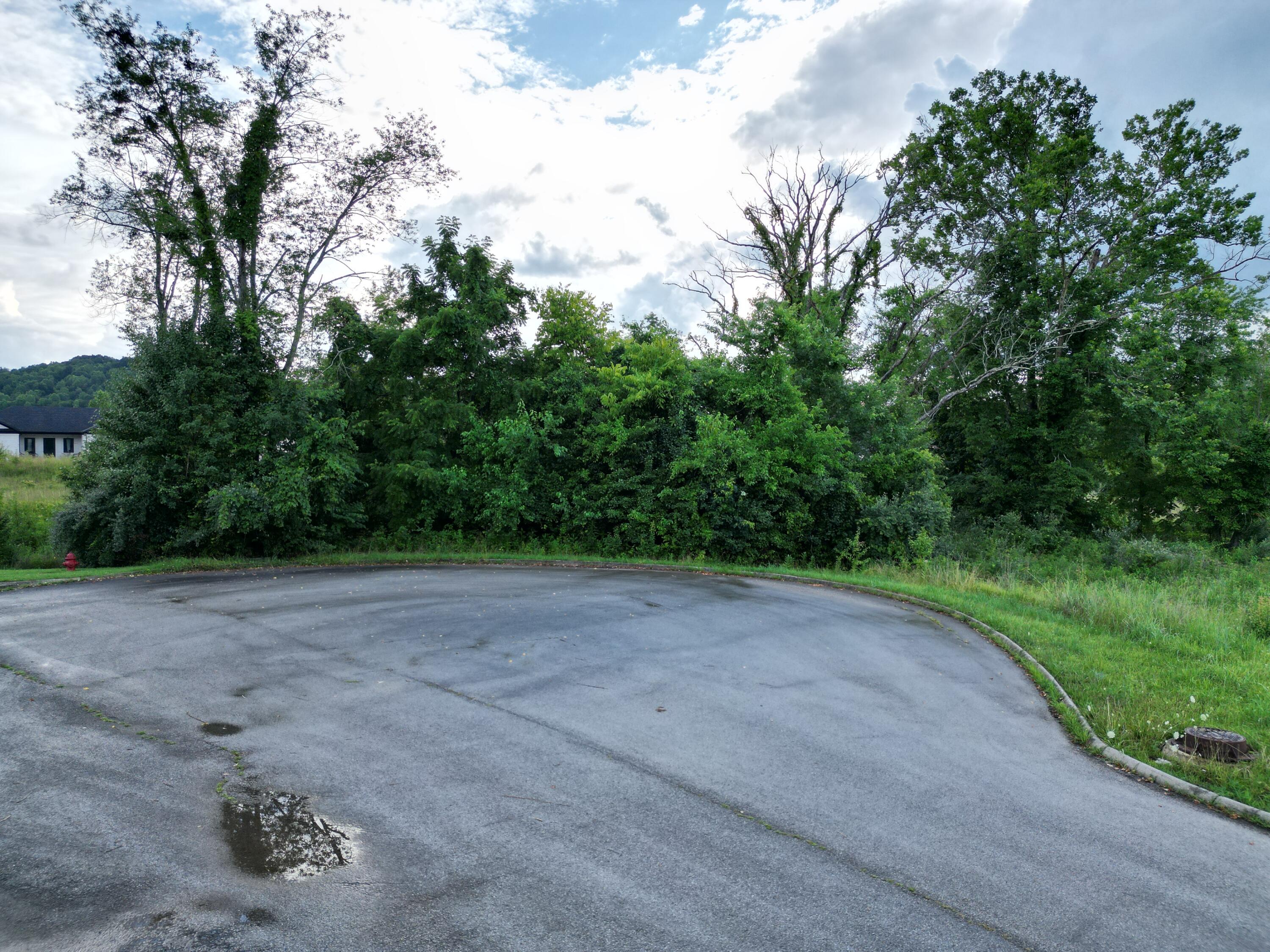 52 Winged Foot Drive Property Photo 6