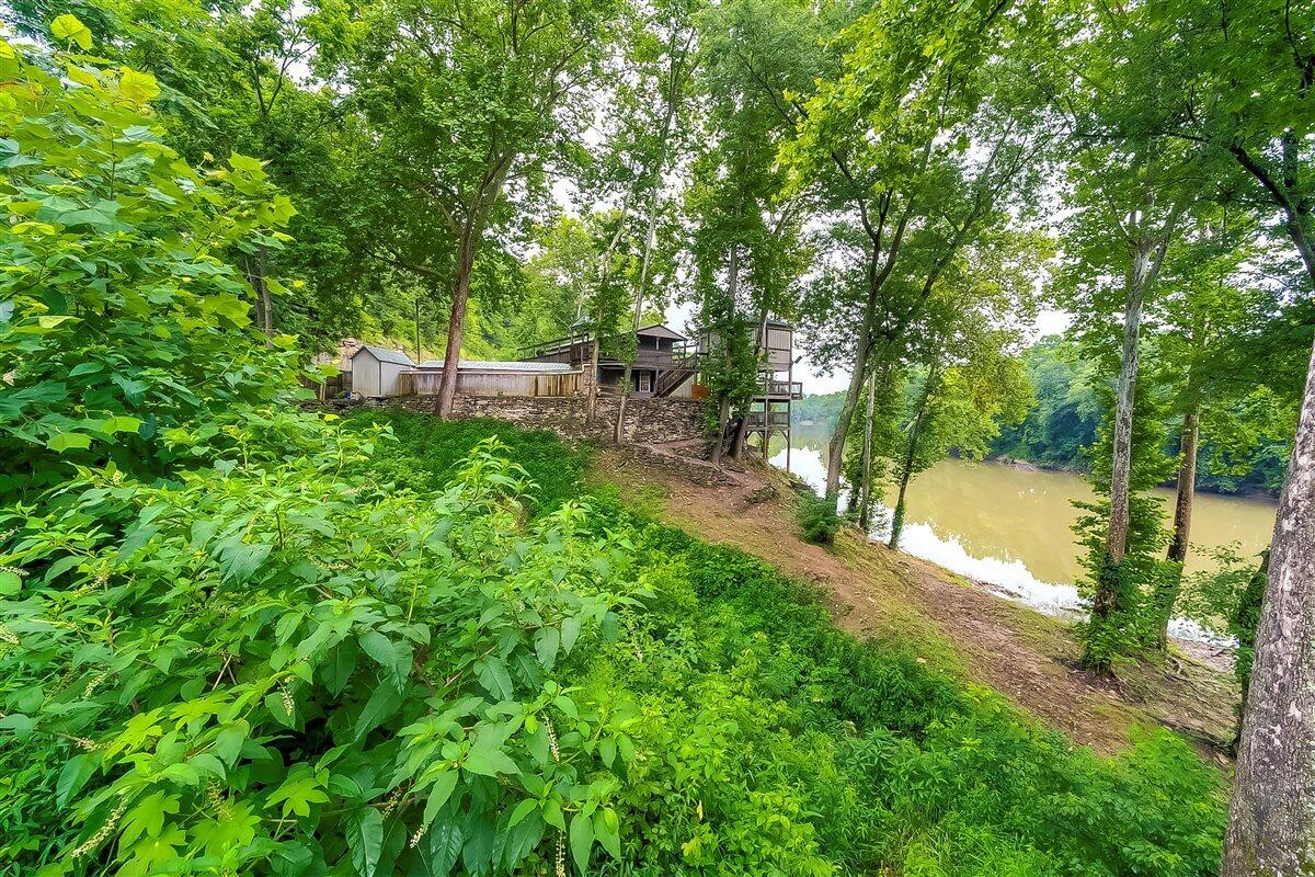3275 Highway 355 Property Photo 50