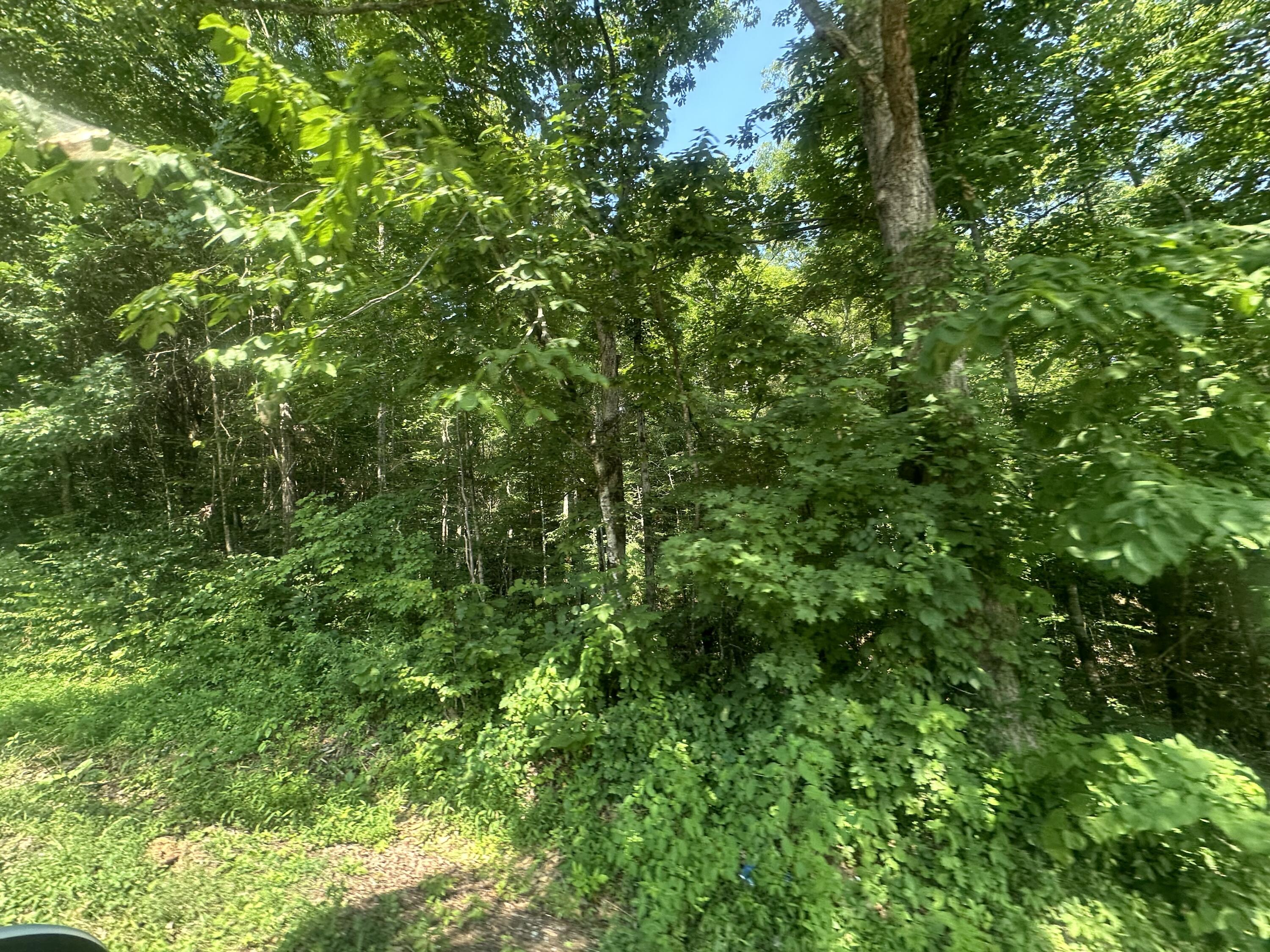 2 Acres Holly Creek Road Property Photo 1