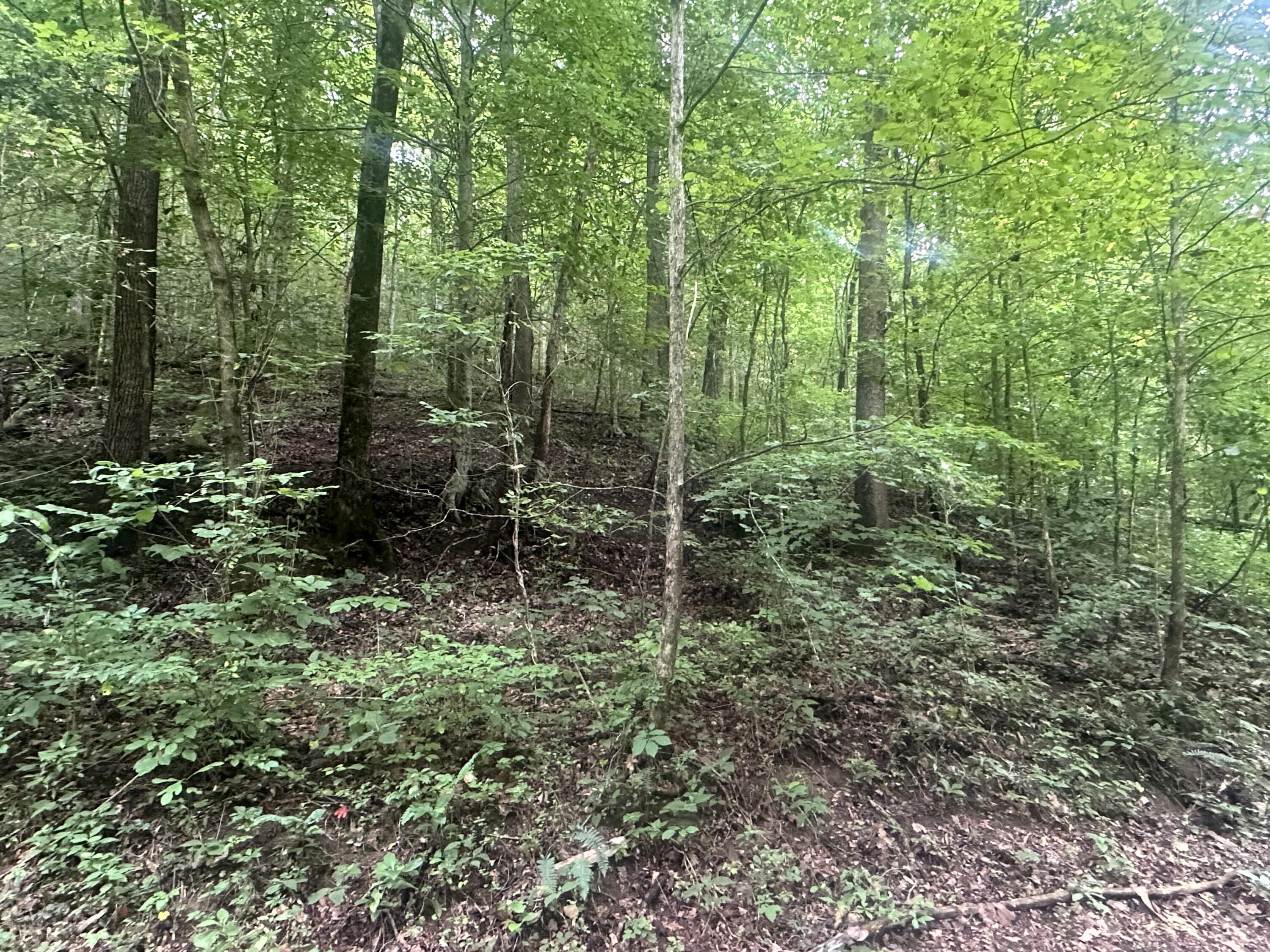 Lot 24 Rock Springs Road Property Photo 1