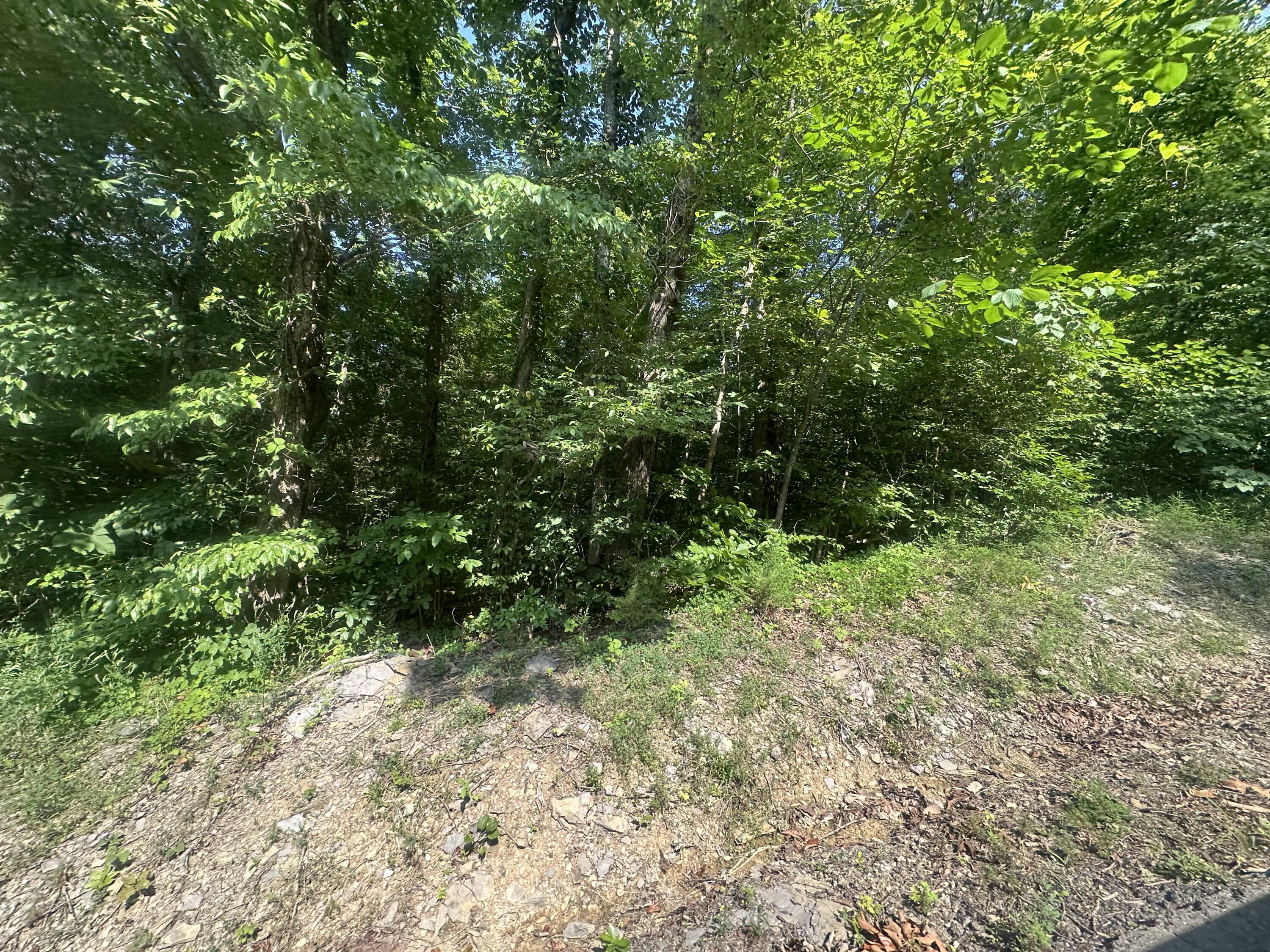 Lot 49 Rock Springs Road Property Photo 1