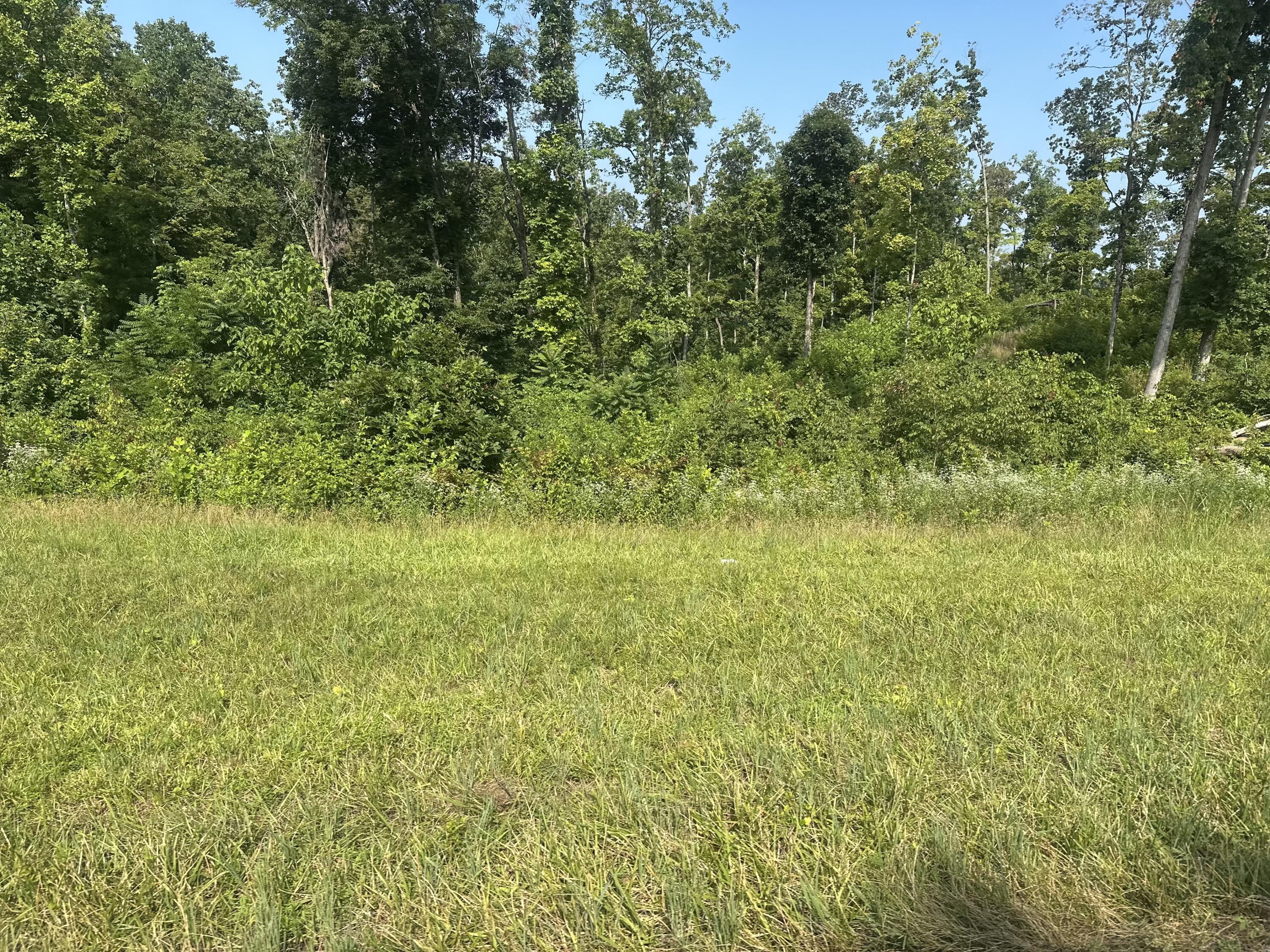 Lot 28 Rock Springs Road Property Photo 1