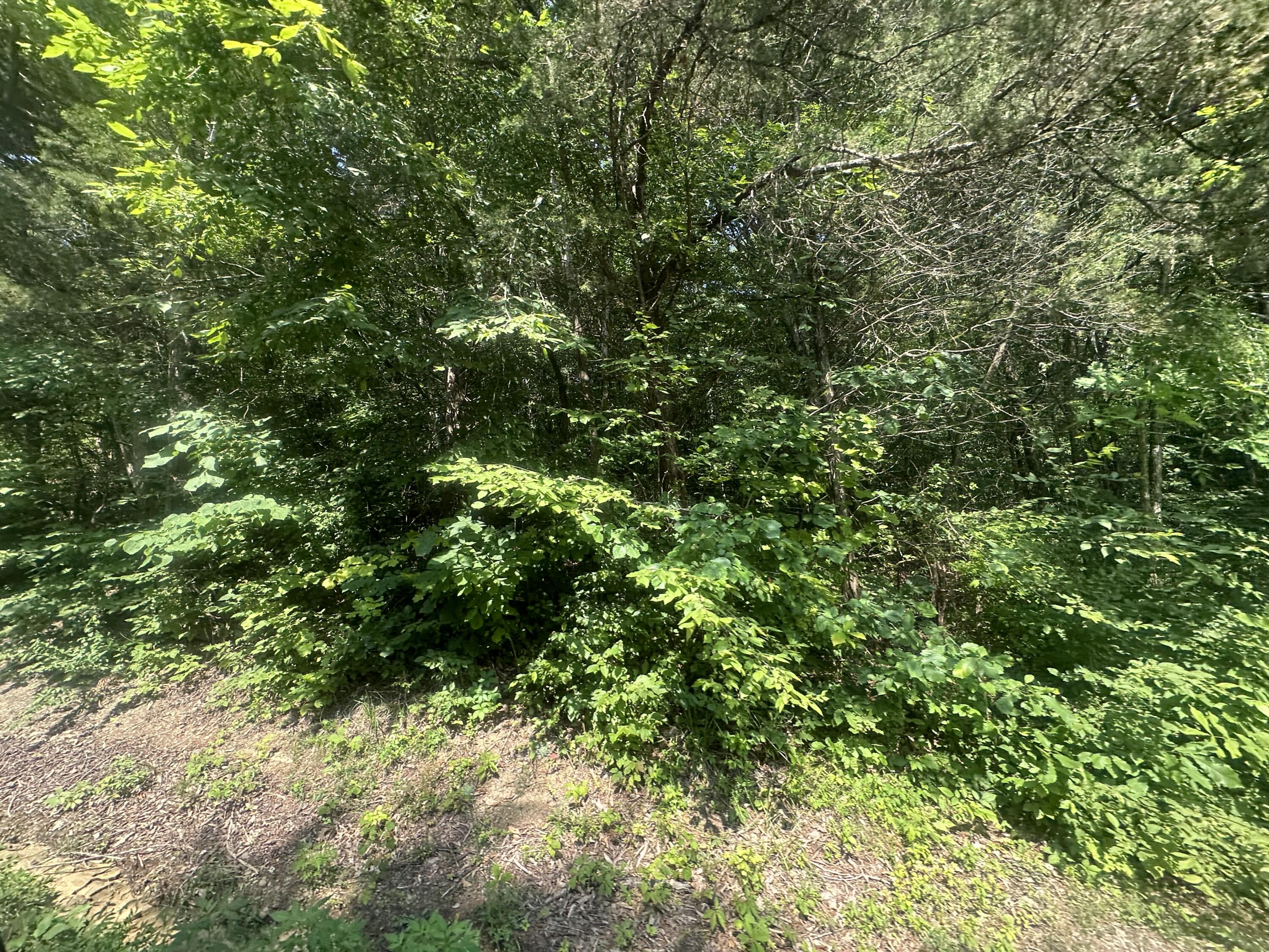 Lot 25 Rock Springs Road Property Photo 1