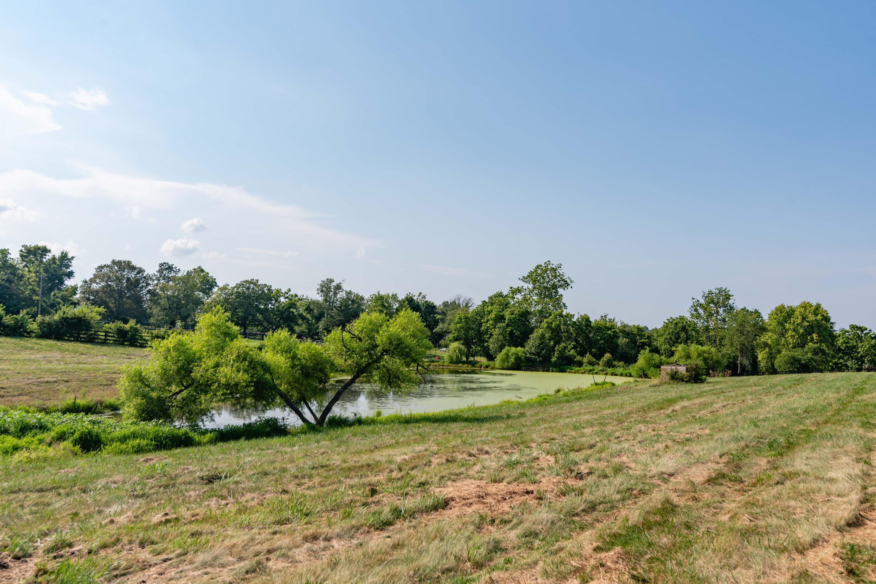 2450 Vince Road Property Photo 51