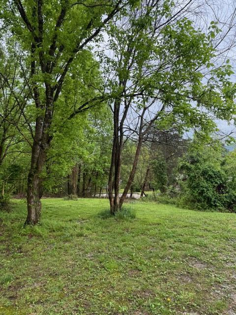 315 Moonbeam Lane Property Photo 8