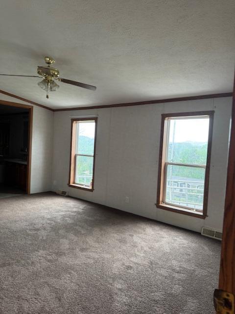 315 Moonbeam Lane Property Photo 35