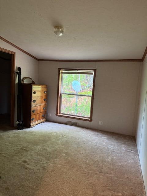 315 Moonbeam Lane Property Photo 43