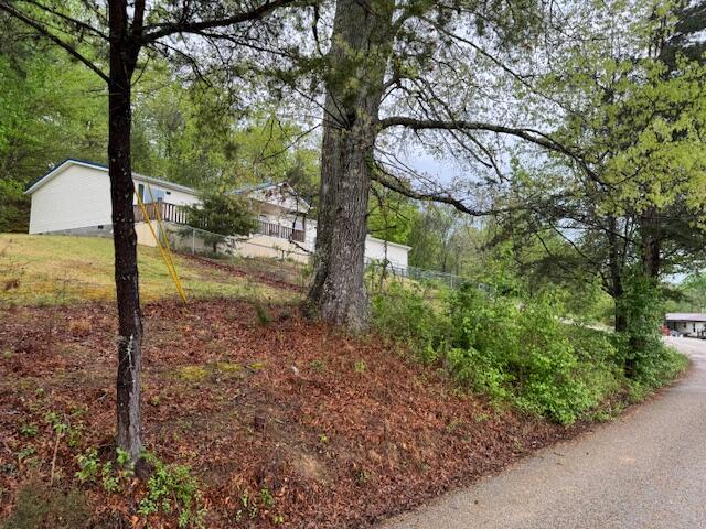 315 Moonbeam Lane Property Photo 58