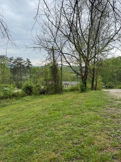 315 Moonbeam Lane Property Photo 65